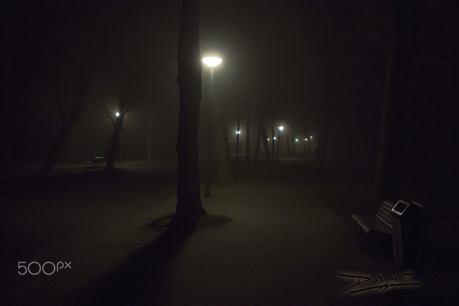 Canon EF 28-105mm f/3.5-4.5 USM sample photo. Vondelpark mist photography