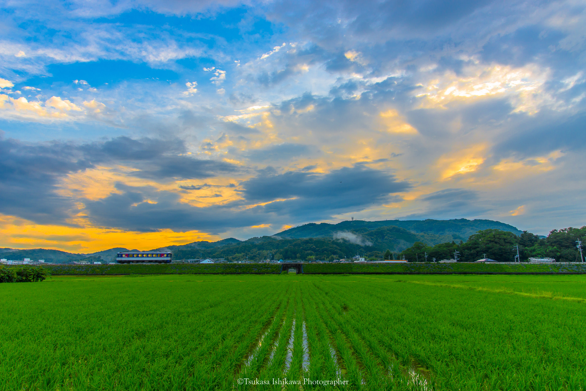 Sony a99 II sample photo. Sunset of the train and rice fields photography