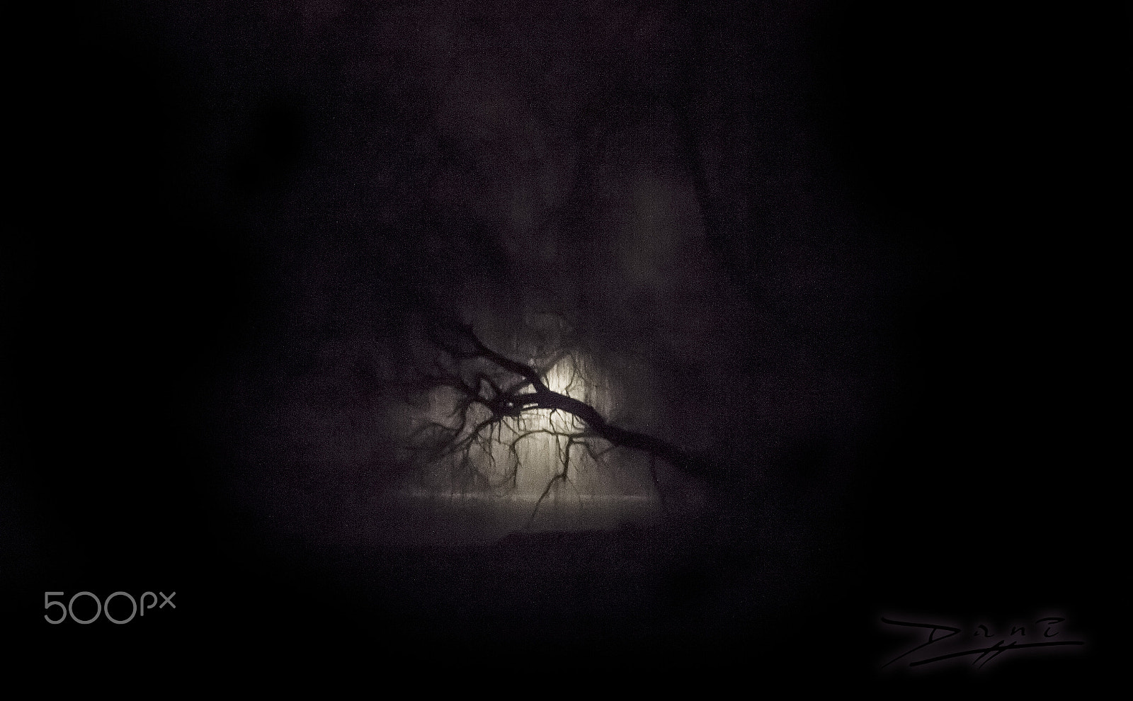 Canon EF 28-105mm f/3.5-4.5 USM sample photo. Evil nature photography