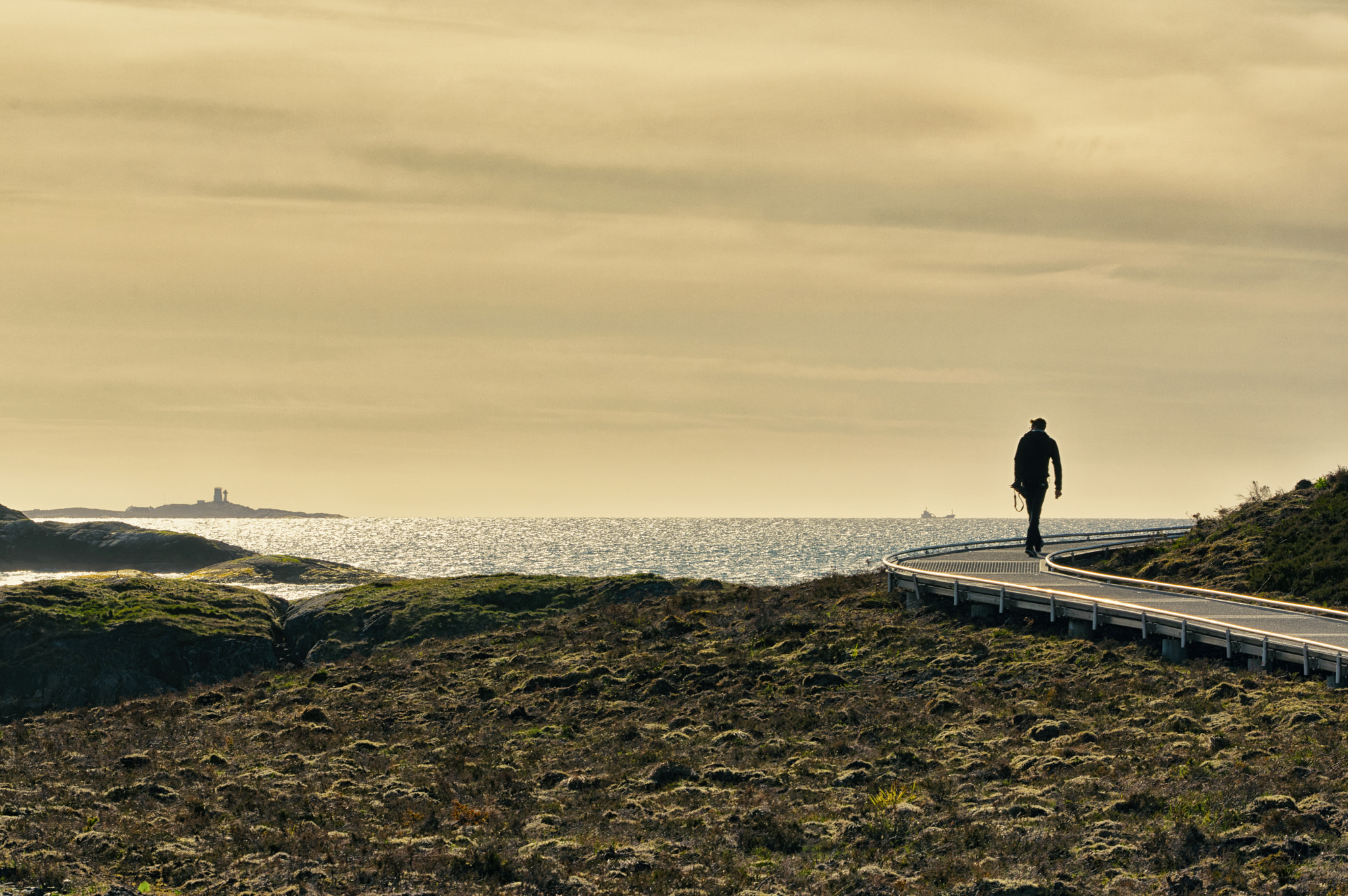 Pentax K-3 sample photo. A silhouette on the earth photography