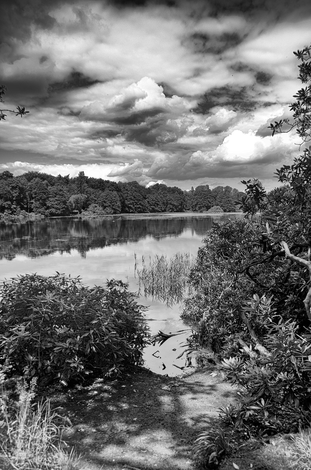 Sigma 18-200mm F3.5-6.3 DC OS HSM sample photo. Clouds are looming photography