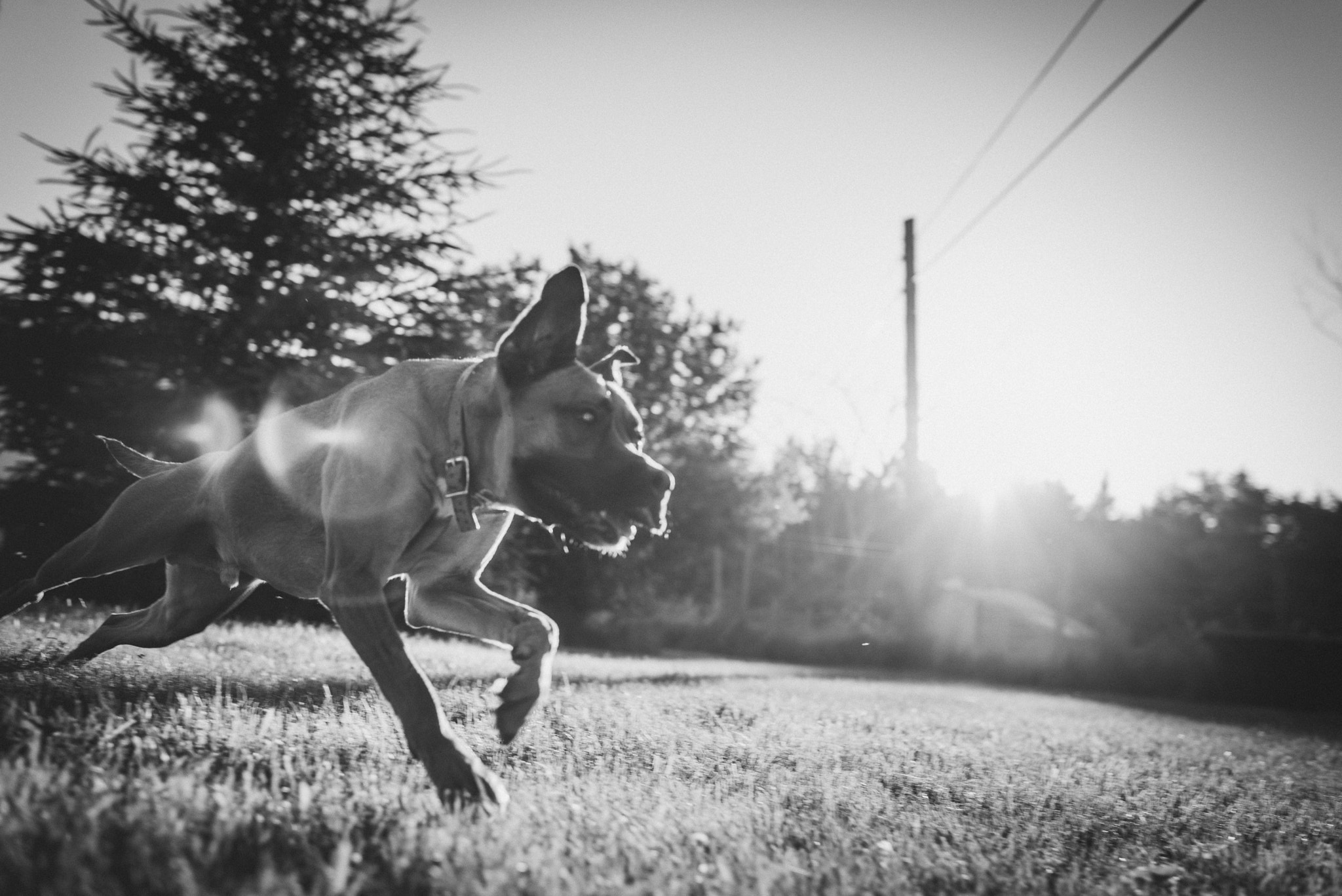 Nikon D800E + Nikon AF-S Nikkor 35mm F1.4G sample photo. Chase life photography