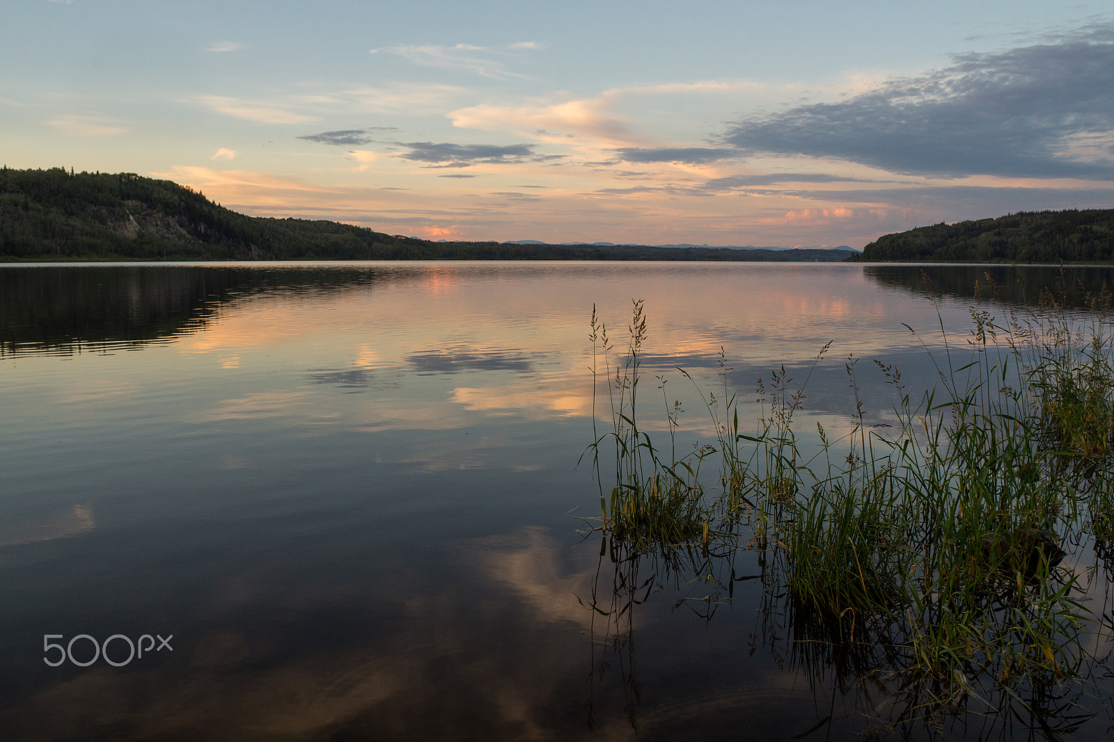 Sony 20mm F2.8 sample photo. Peaceful easy feeling photography