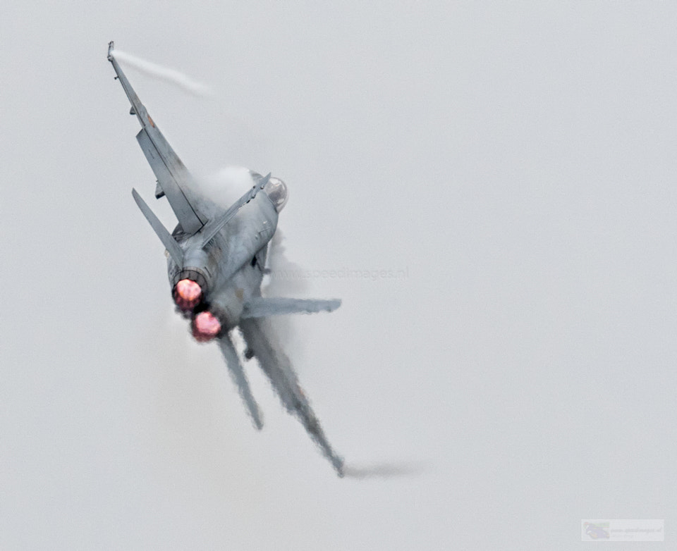 Canon EF 200mm F2.8L II USM sample photo. Spanish fluff photography