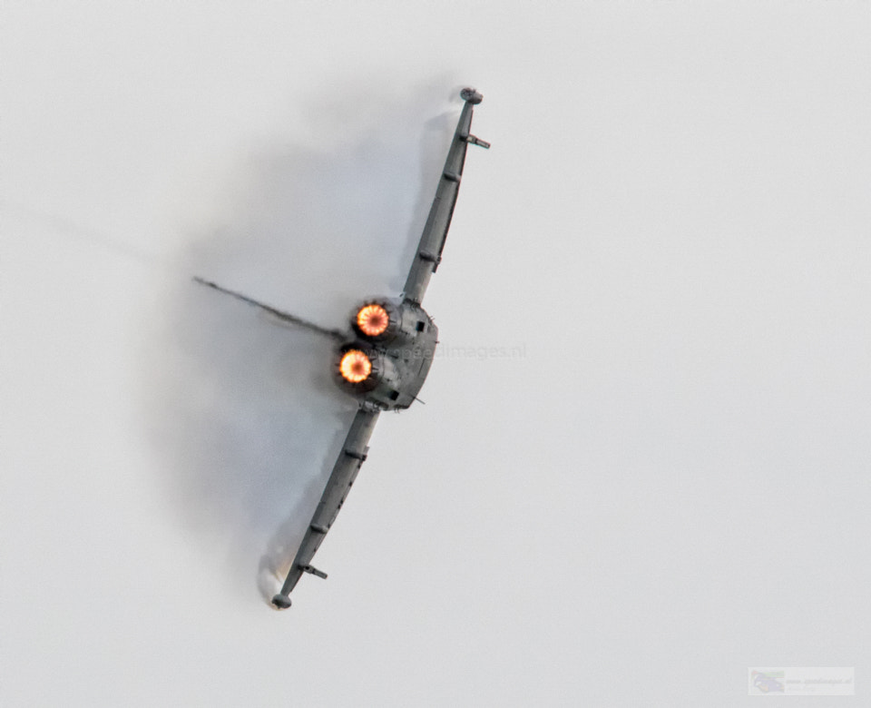 Canon EF 200mm F2.8L II USM sample photo. Heavy wings photography