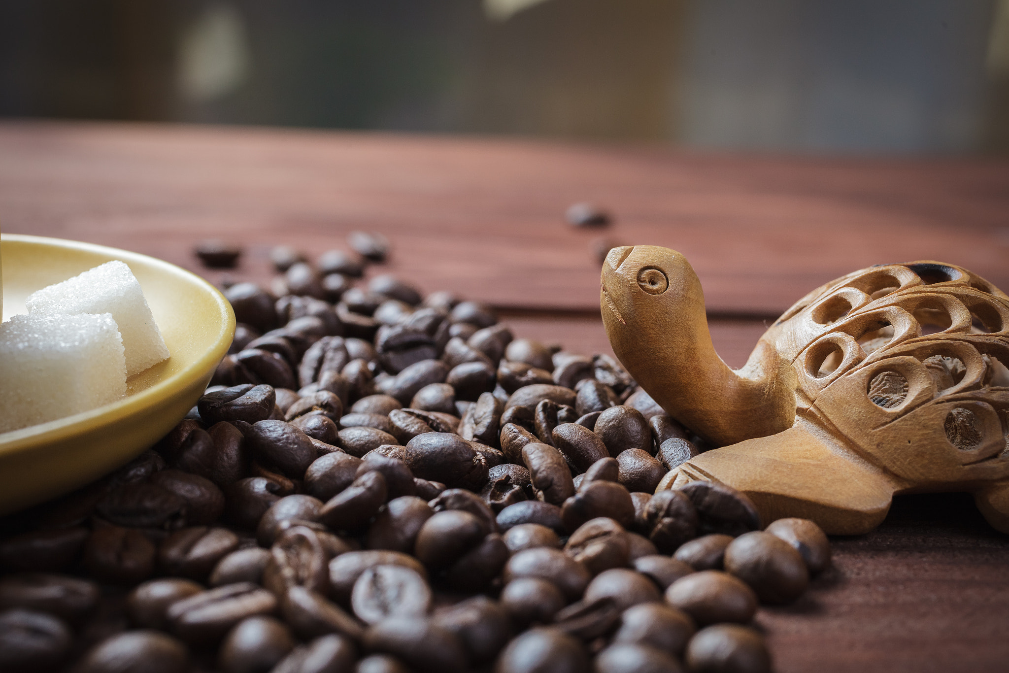 Canon EF 50mm F2.5 Macro sample photo. Сoffee in the morning photography
