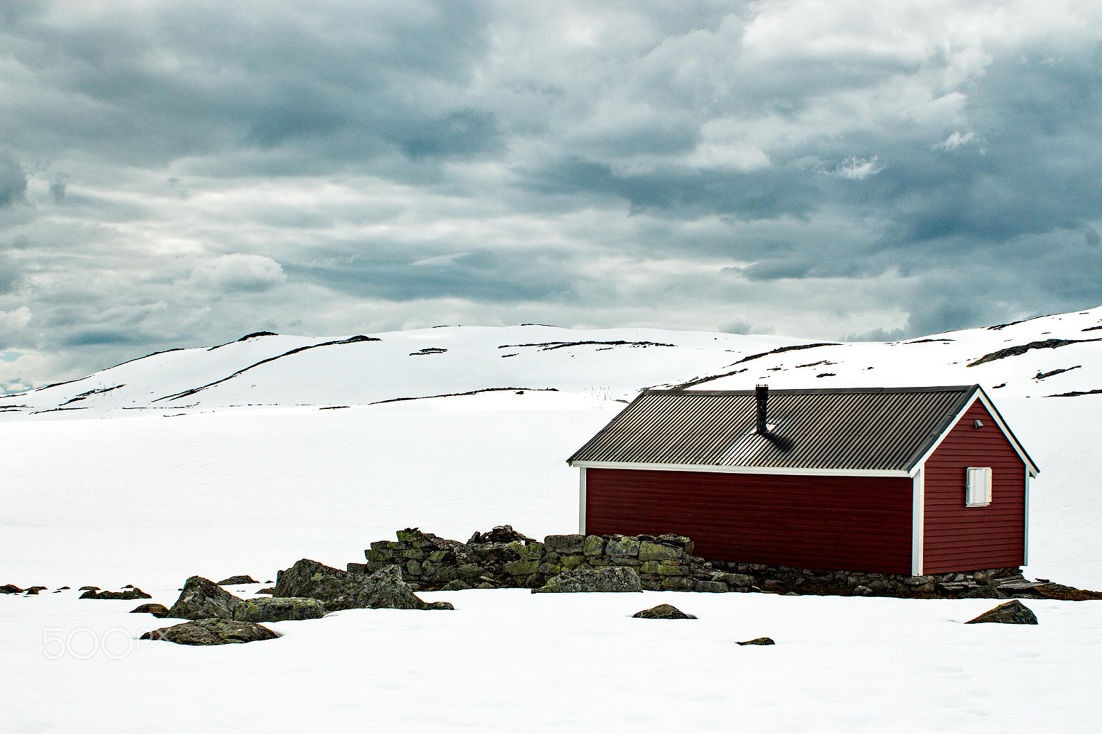 Canon EF 28-80mm f/3.5-5.6 sample photo. Into the wild photography