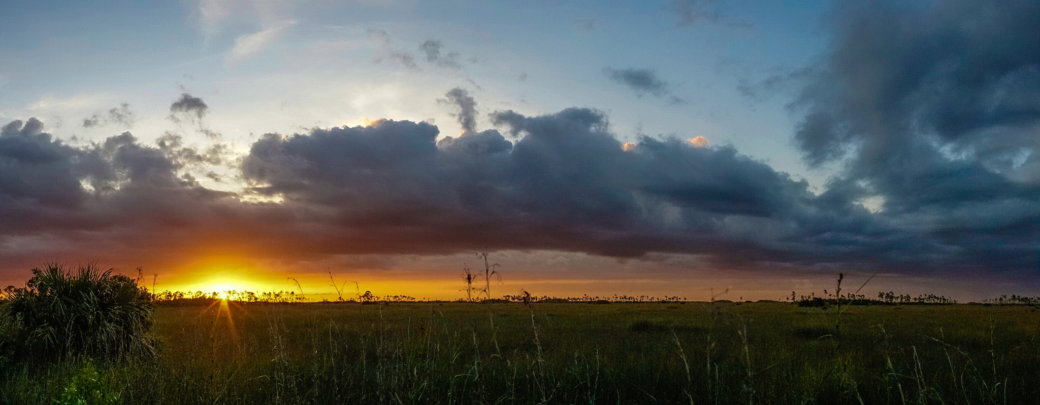 Sony a7 + E 35mm F2 sample photo. Sunset @ everglades photography