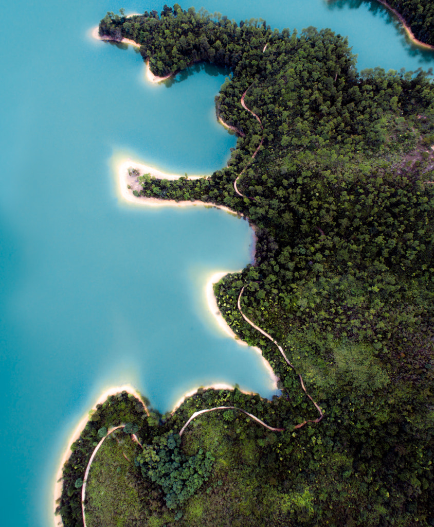 Snake Walking by Andy Yeung / 500px