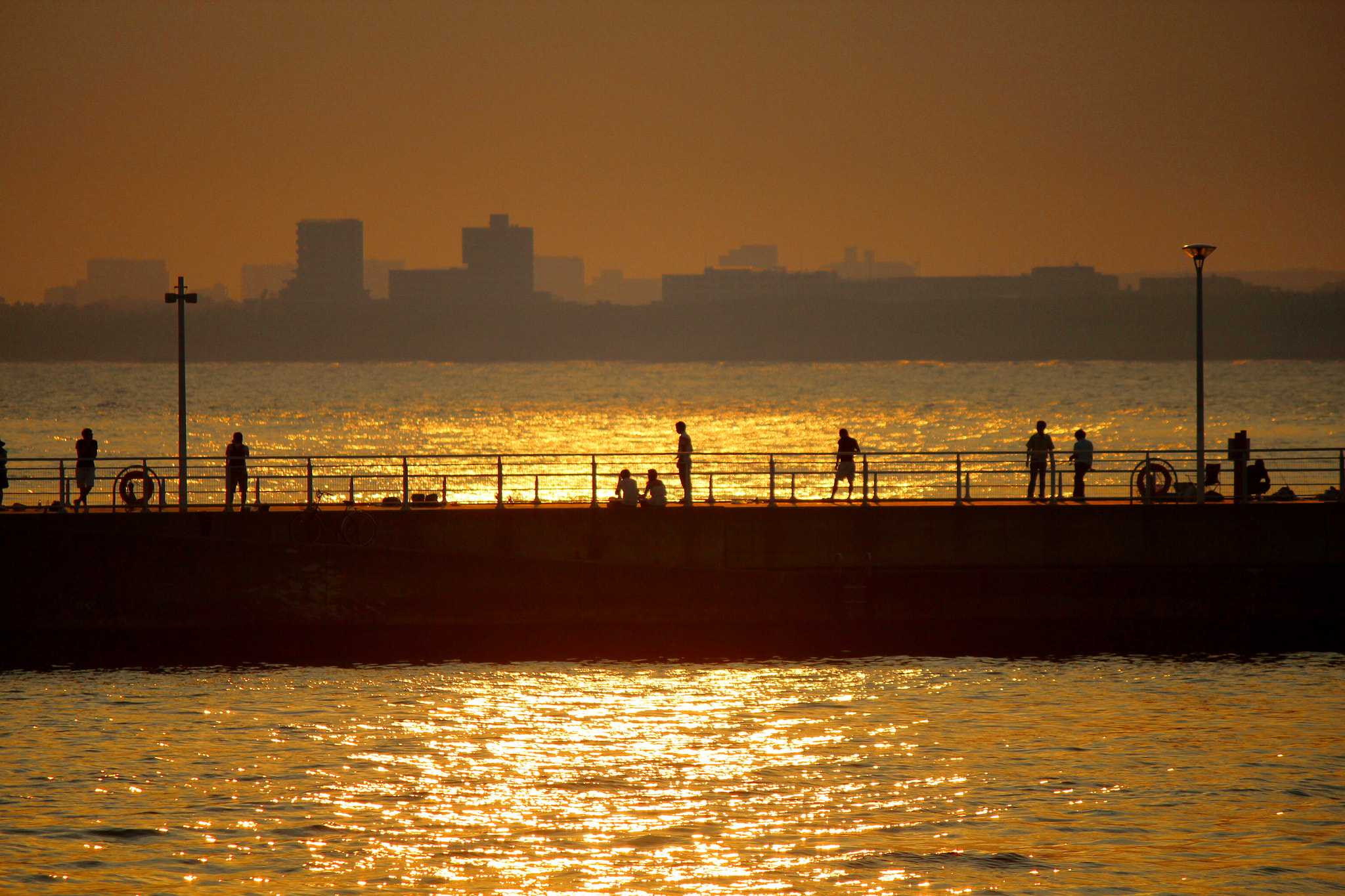 Canon EF-S 55-250mm F4-5.6 IS II sample photo