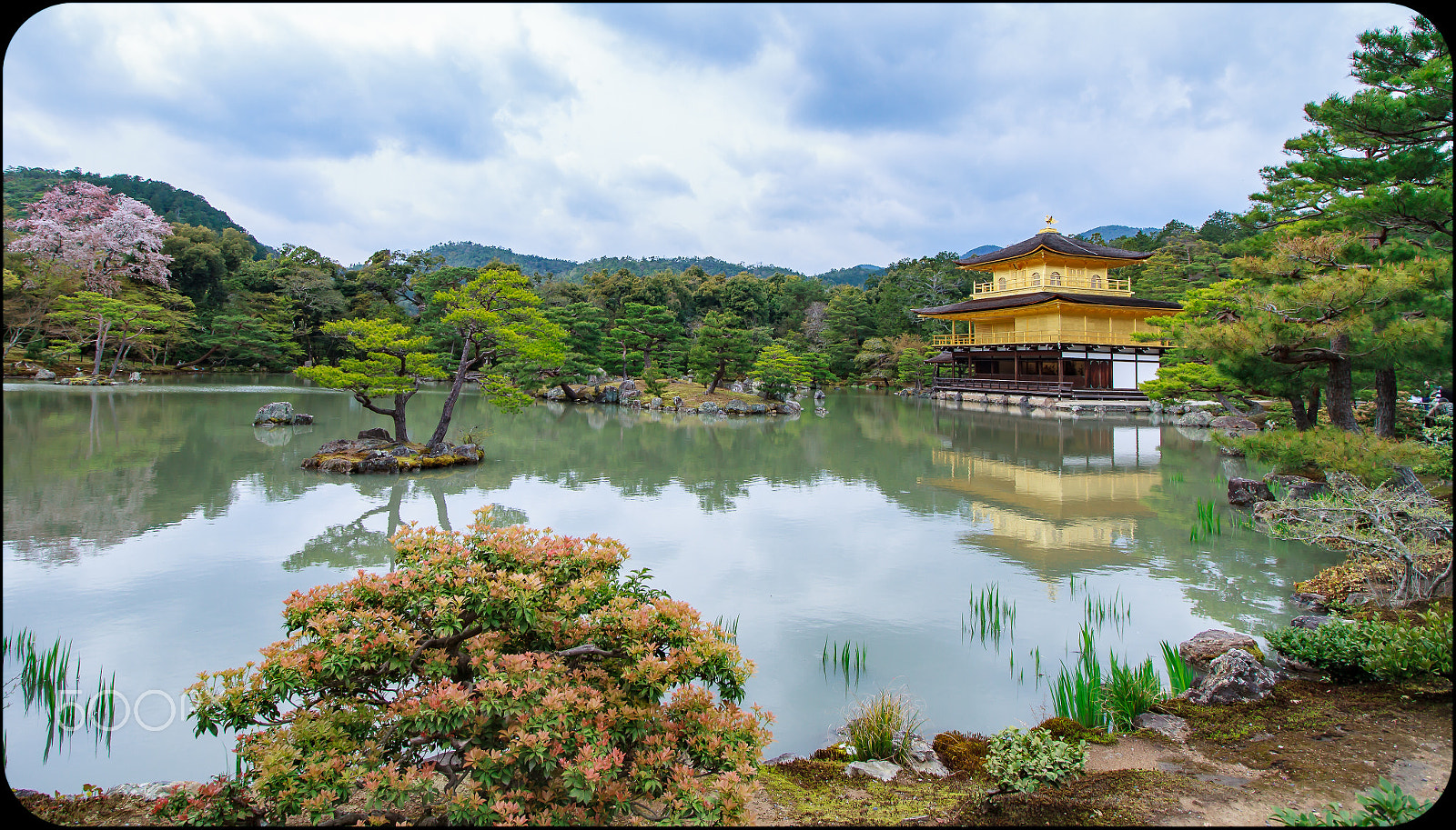 Canon EF-S 10-18mm F4.5–5.6 IS STM sample photo. Golden temple nara photography