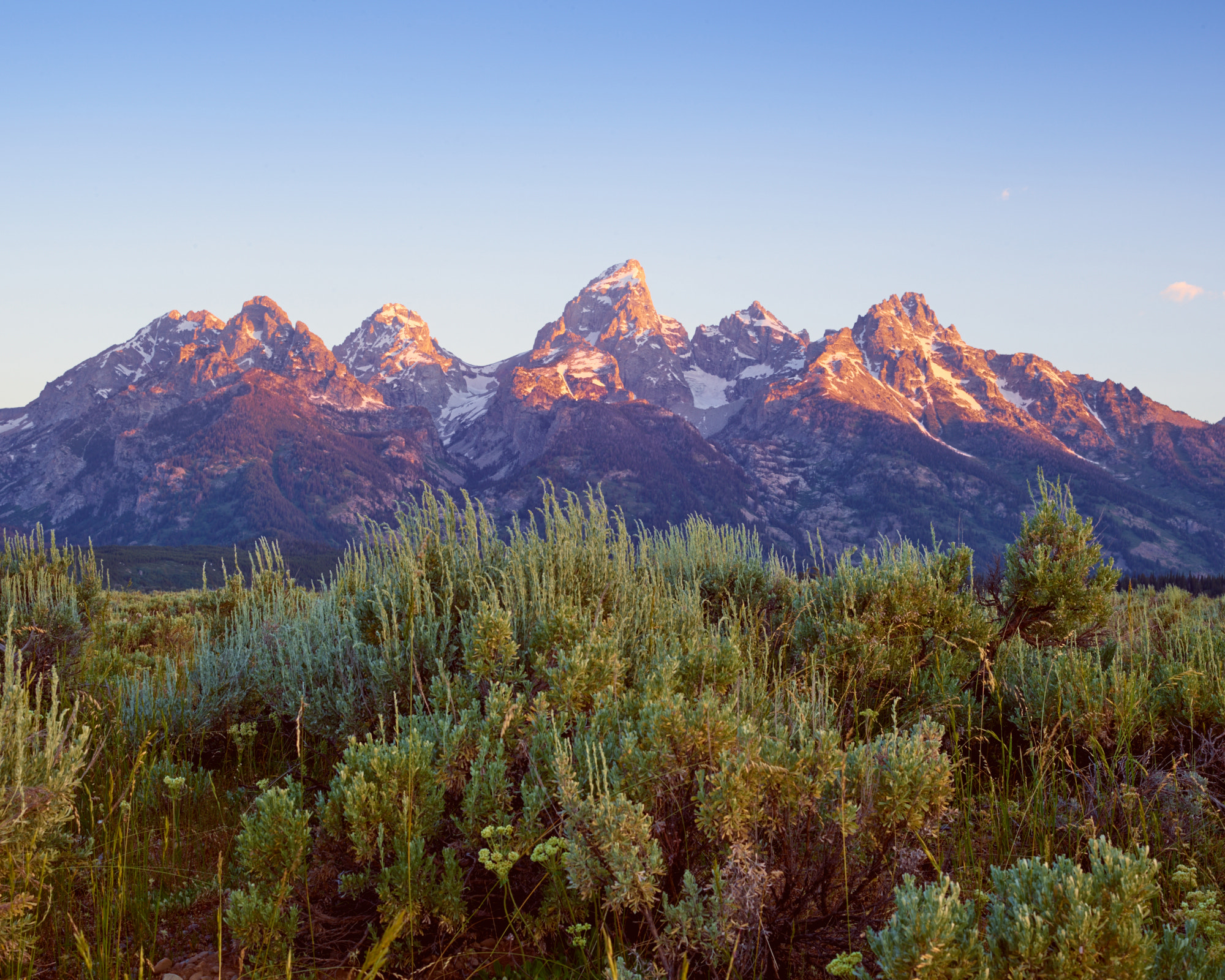 Schneider LS 55mm f/2.8 sample photo. Tetons photography