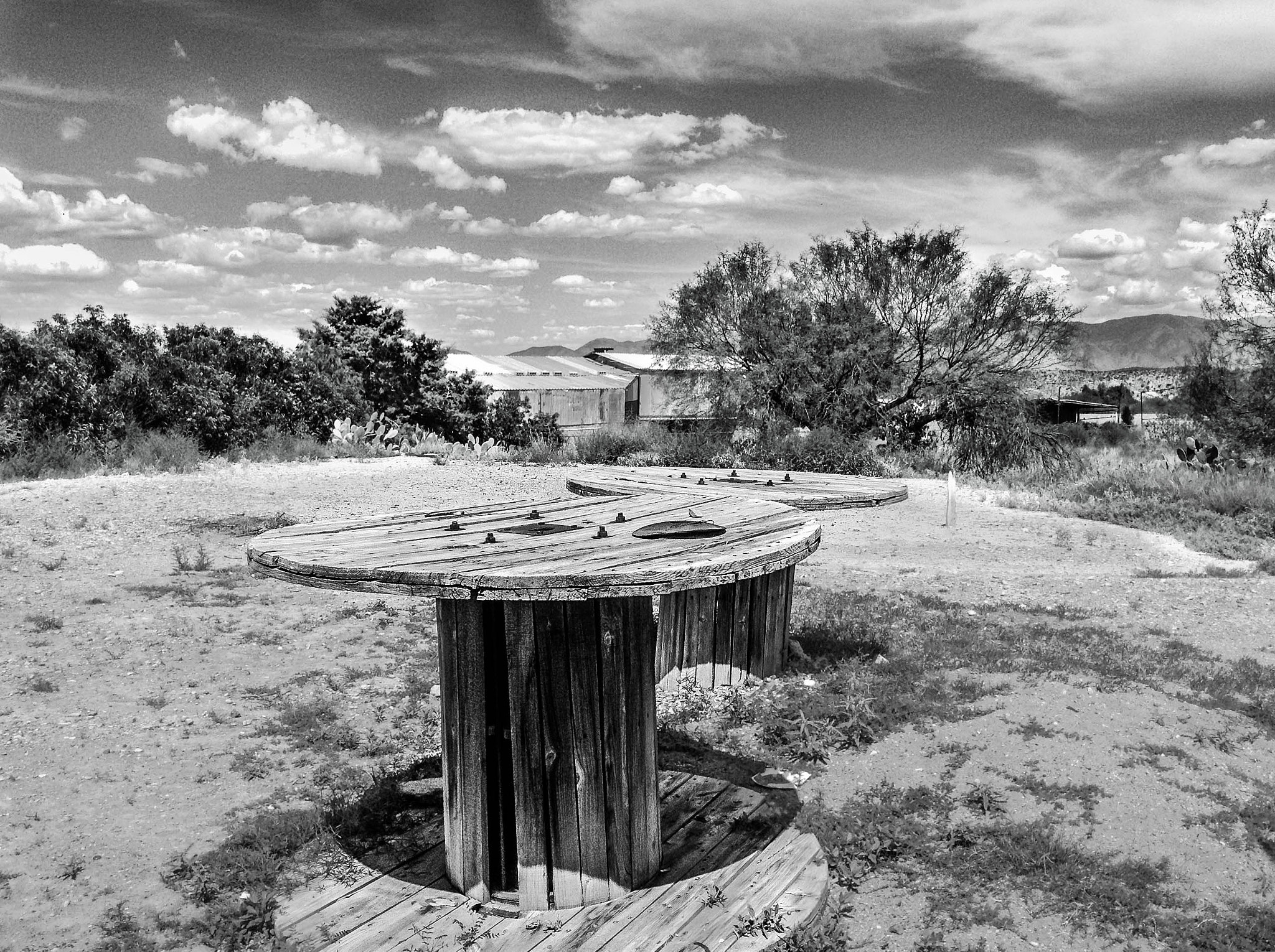 iPod touch back camera 3.3mm f/2.4 sample photo. Nature b/w photography