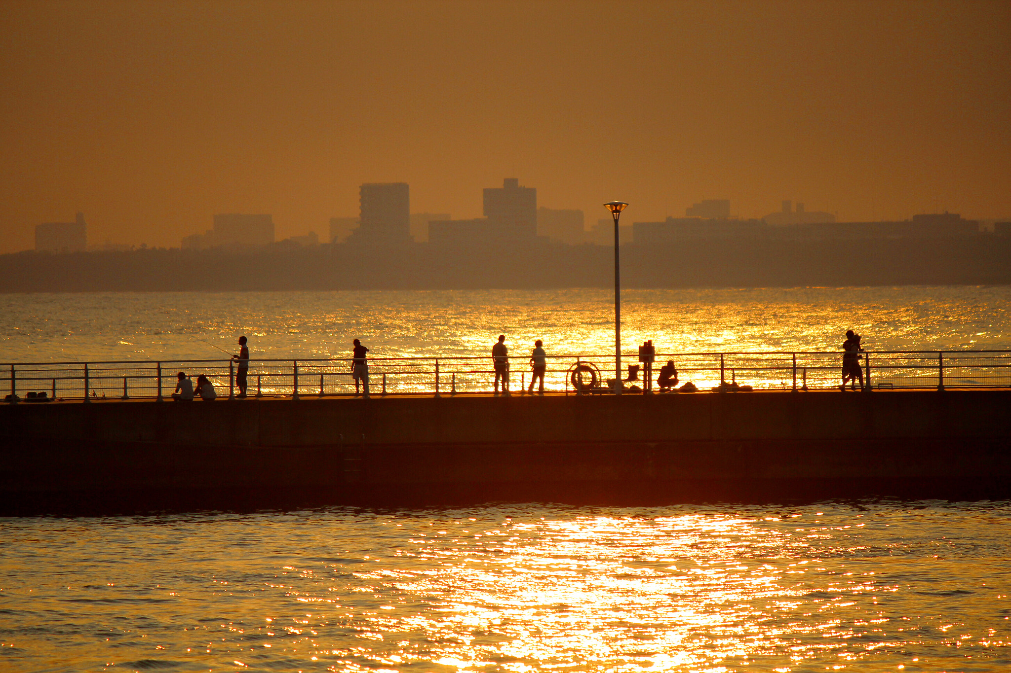 Canon EF-S 55-250mm F4-5.6 IS II sample photo