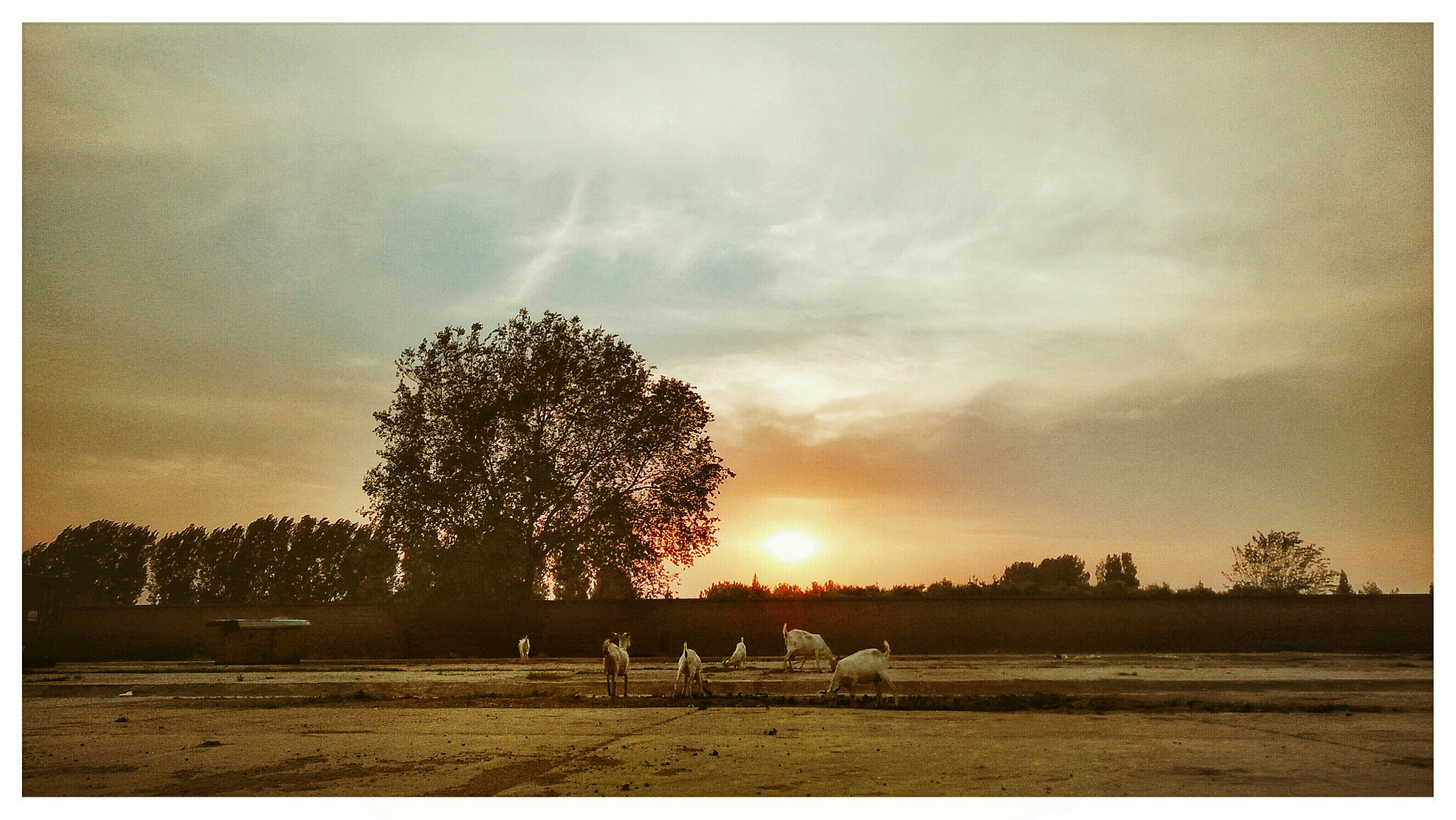 OnePlus ONE E1001 sample photo