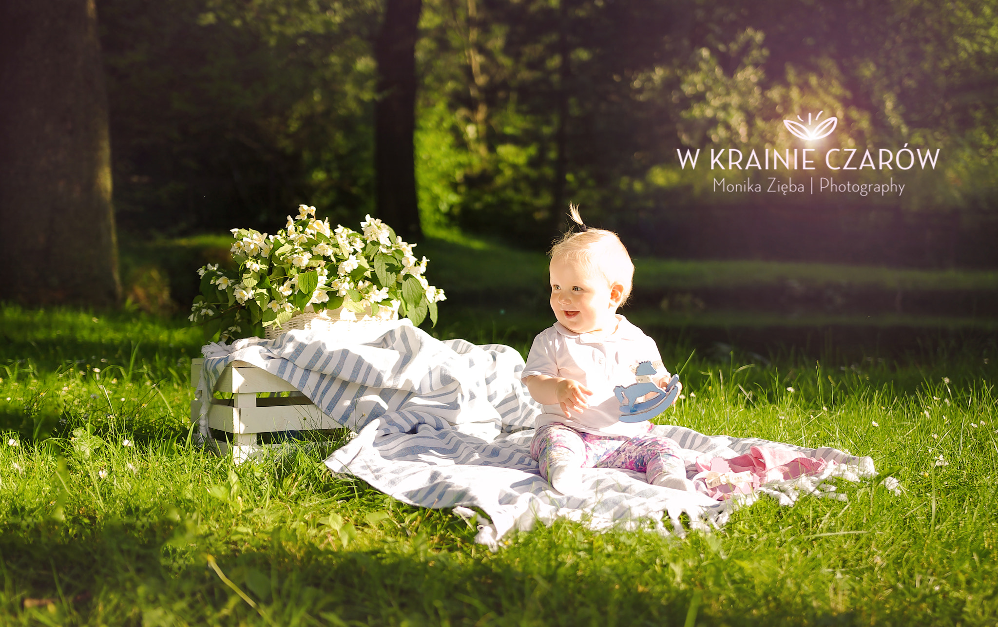 Pentax K200D + Sigma 18-35mm F1.8 DC HSM Art sample photo. Wonderland photography