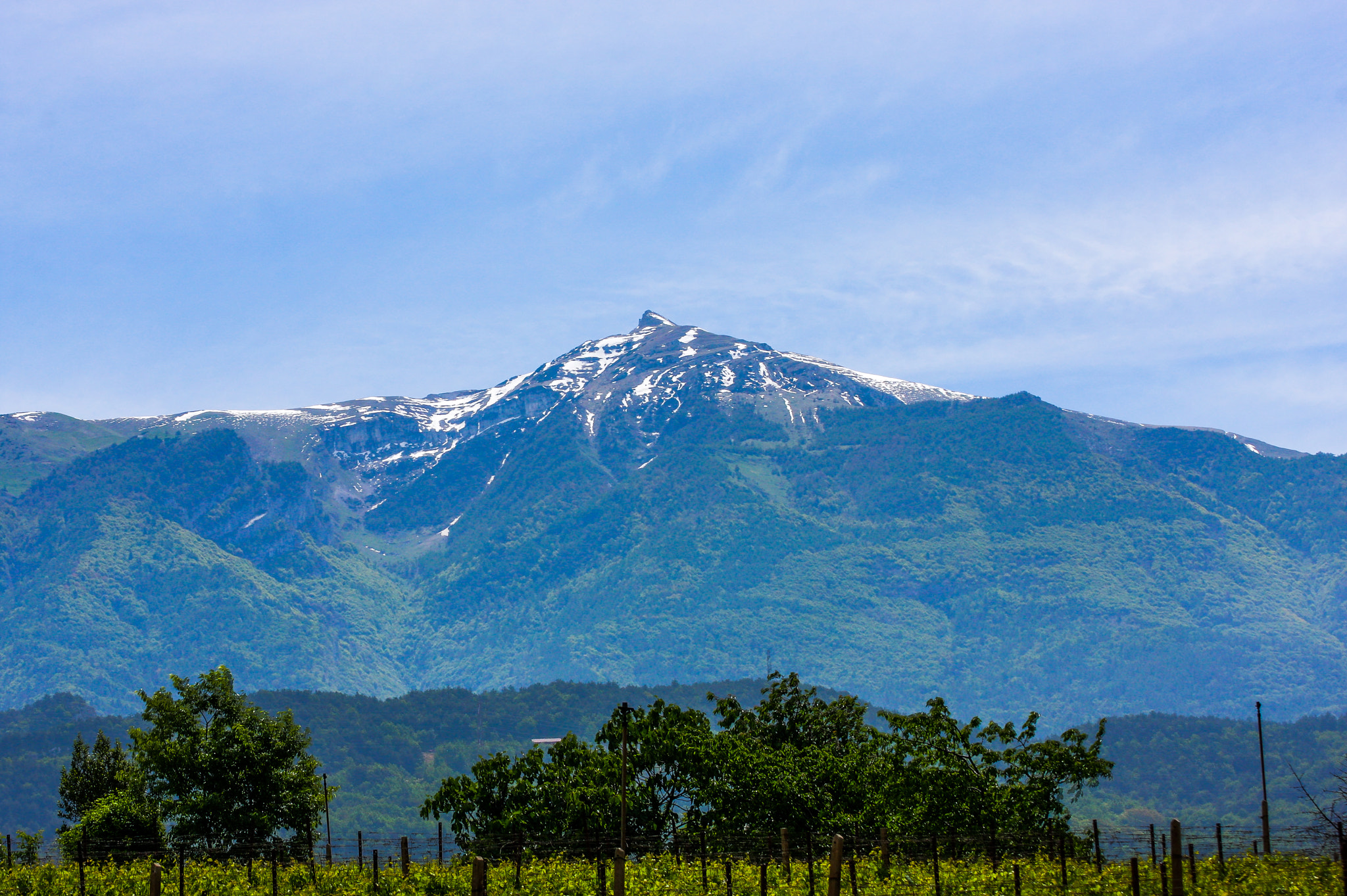 Canon EOS 40D sample photo. Lonley mountain photography
