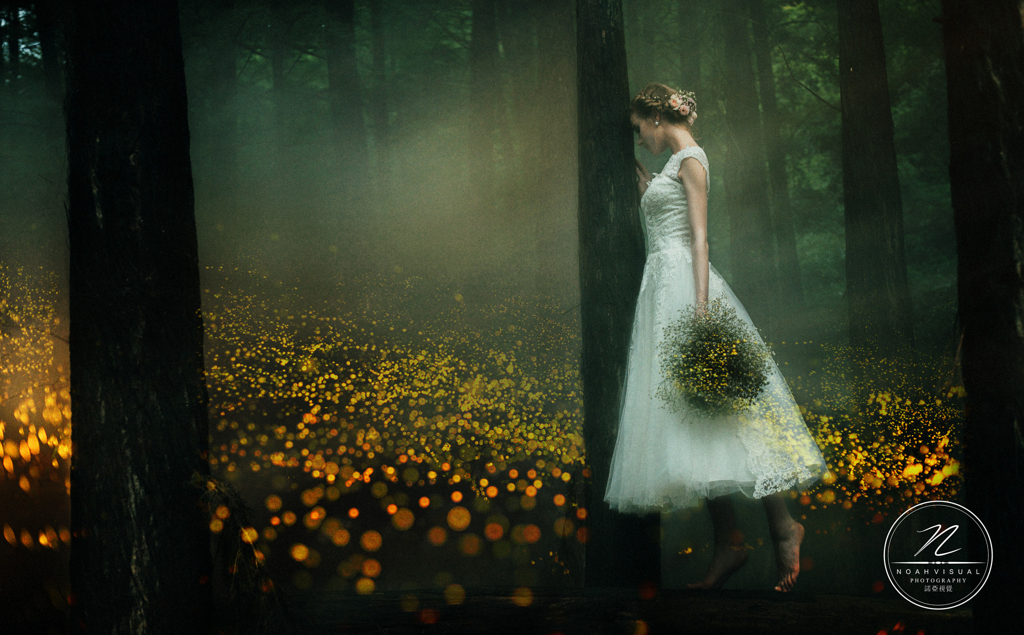 HC 80 sample photo. 萤火虫 photography