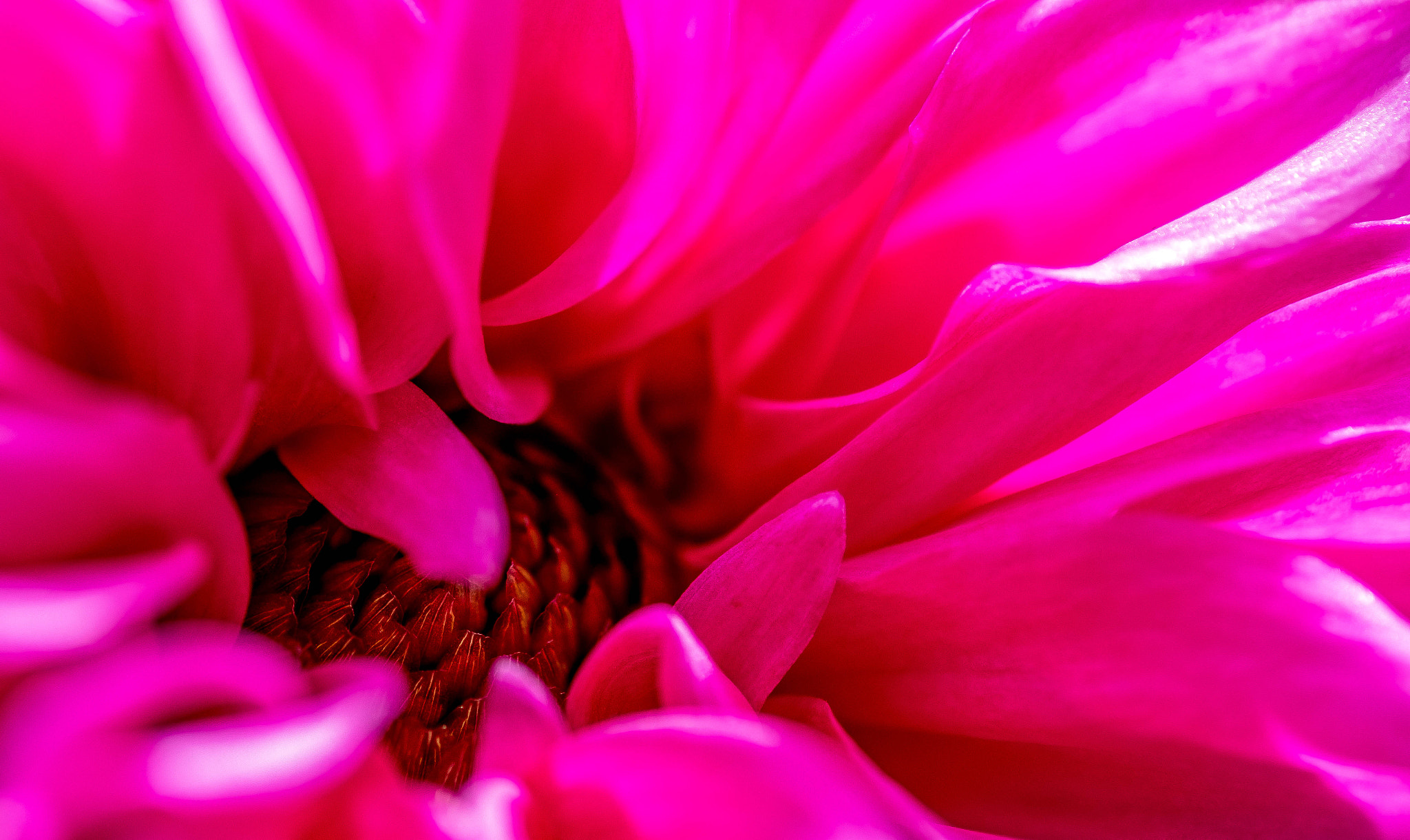 Fujifilm X-Pro2 + Fujifilm XF 60mm F2.4 R Macro sample photo. Inside photography