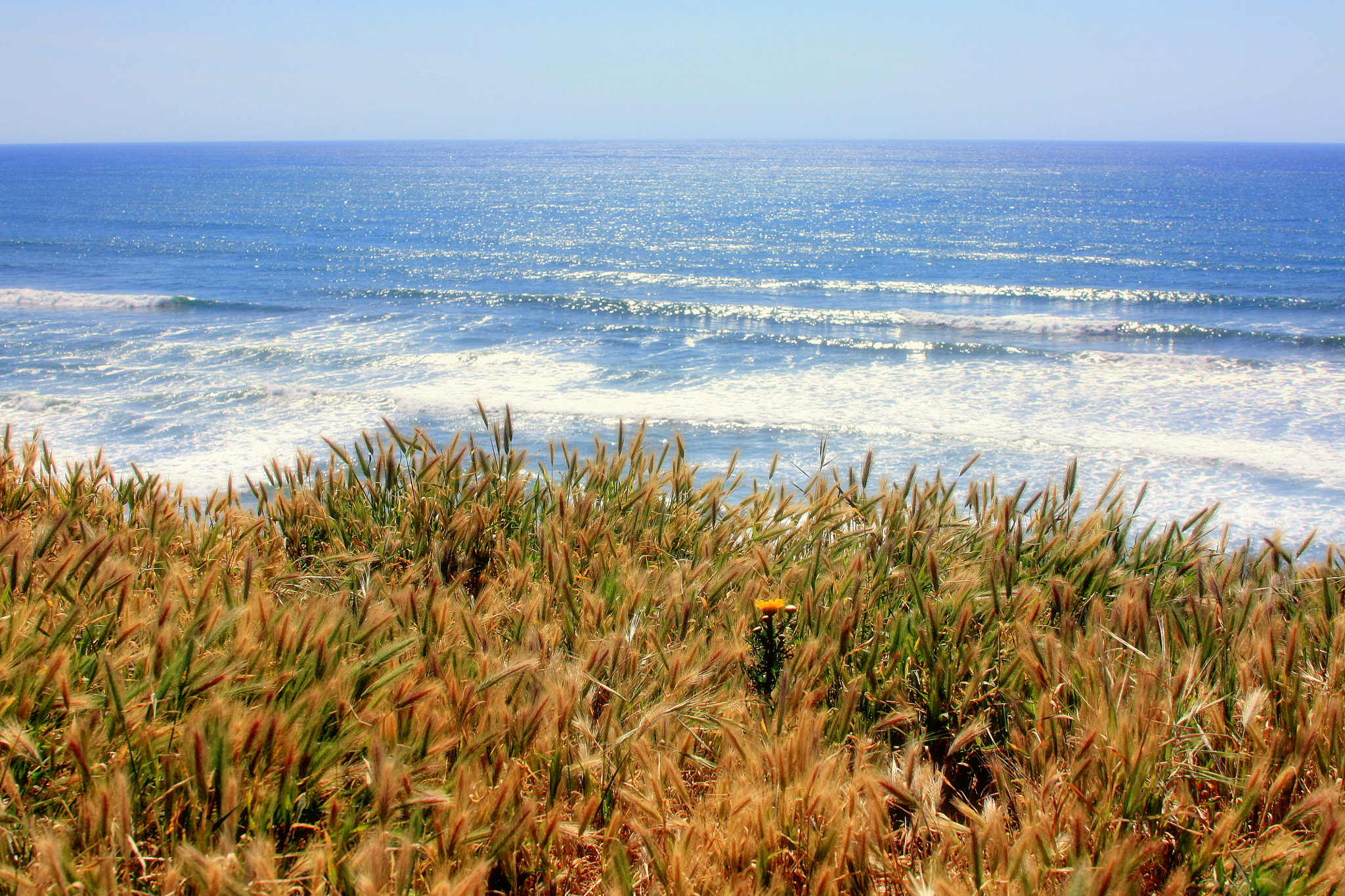 Canon EOS 450D (EOS Rebel XSi / EOS Kiss X2) sample photo. Beautiful pacific photography
