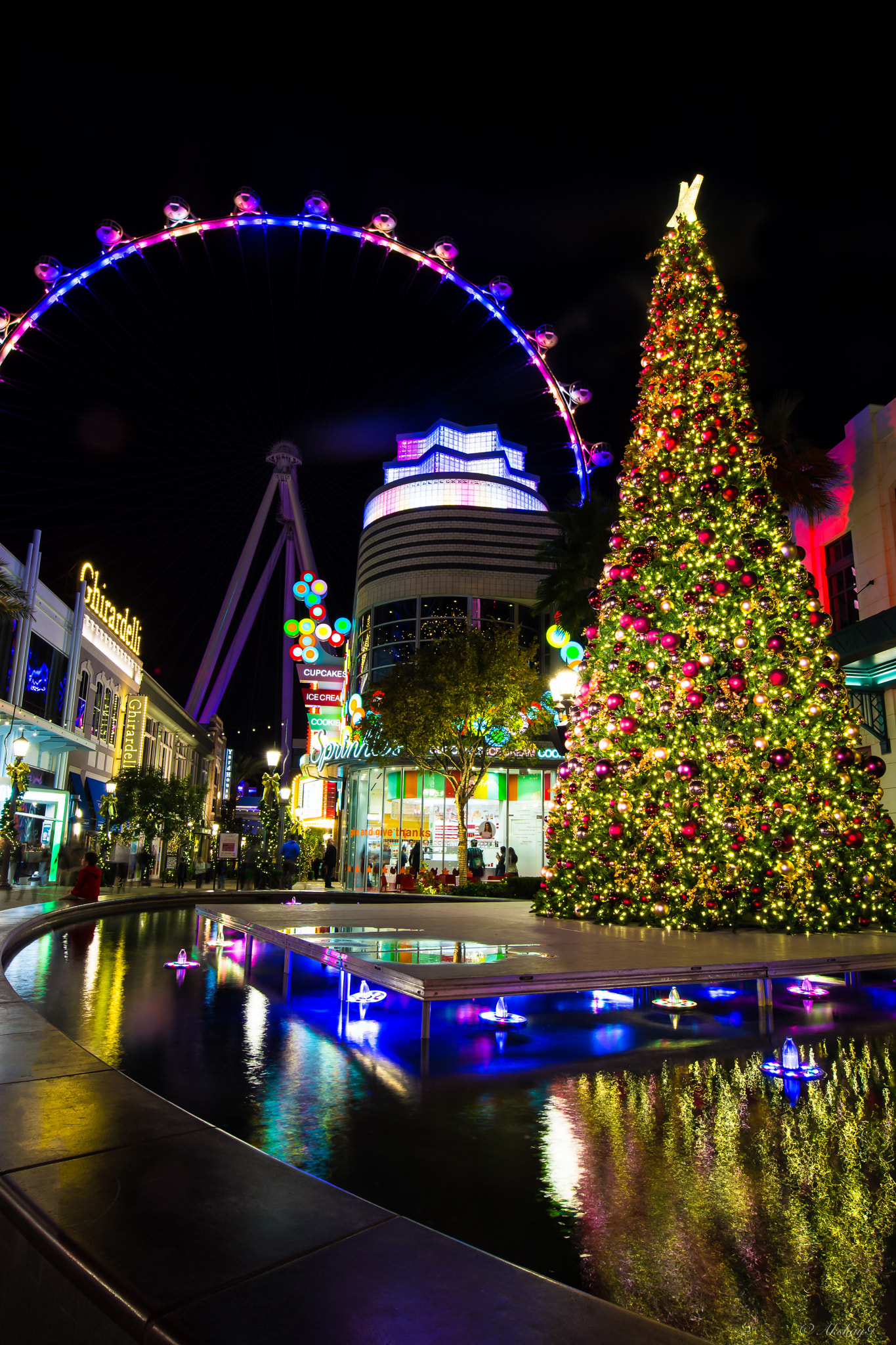 Nikon AF-S Nikkor 14-24mm F2.8G ED sample photo. Ferris wheel photography
