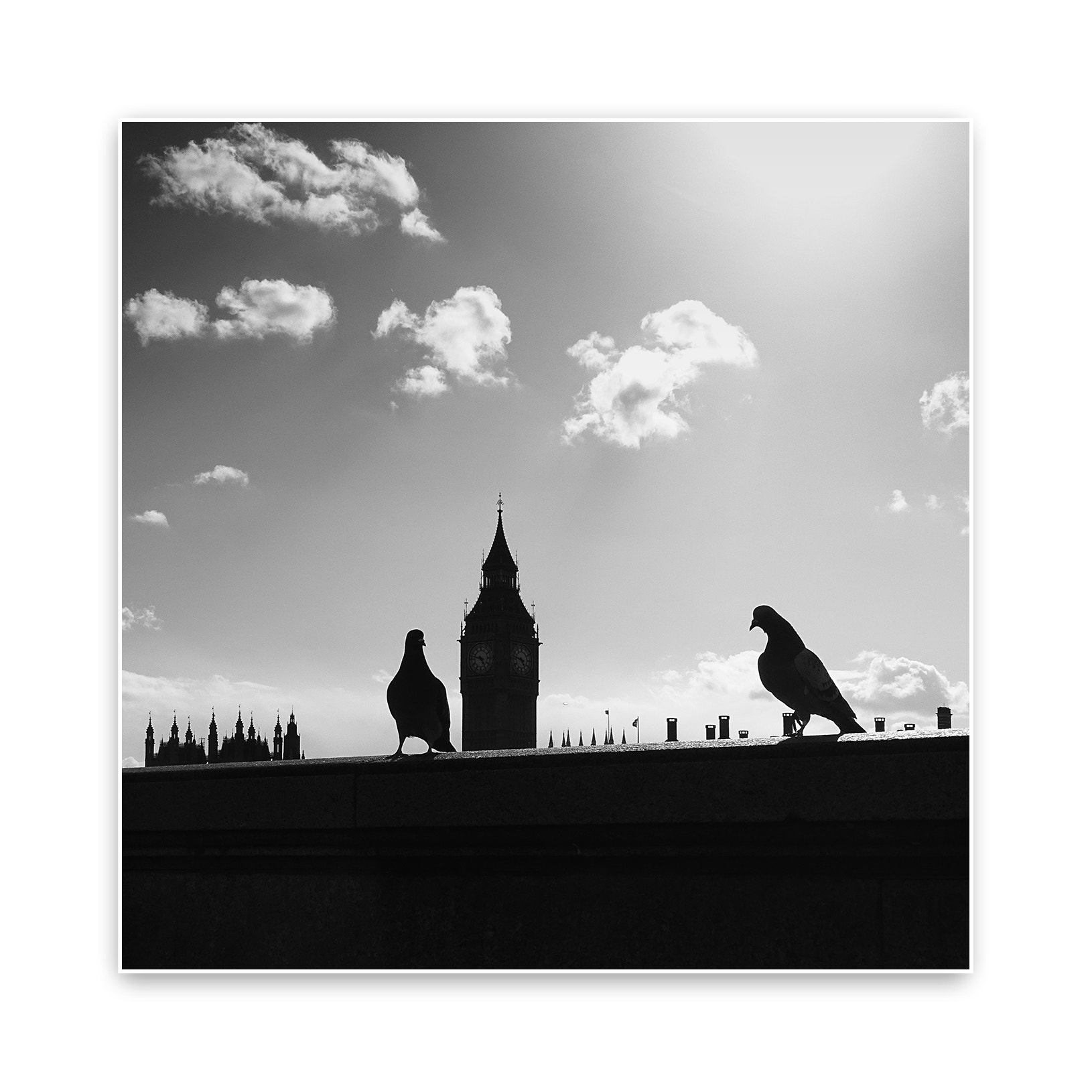 Leica V-Lux 3 sample photo. Big ben vs giant doves photography