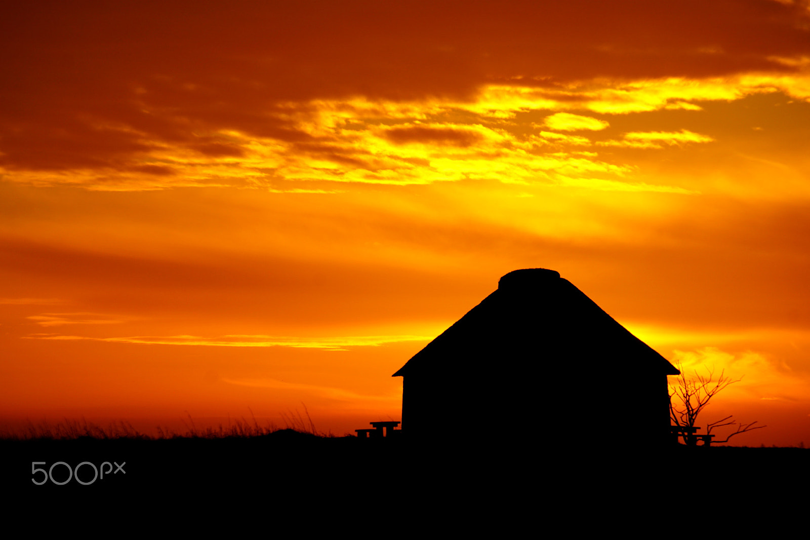 Sony DT 18-200mm F3.5-6.3 sample photo. Markmandshuset photography