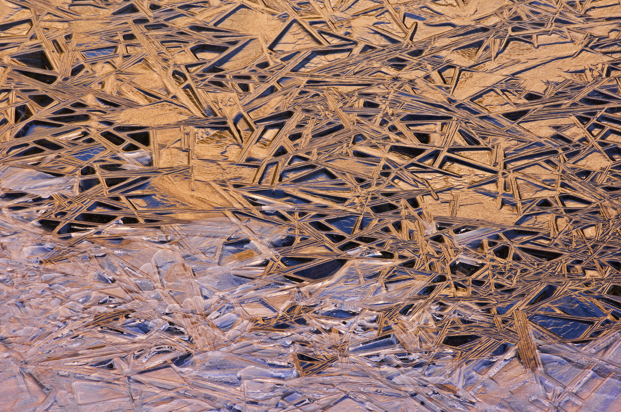 Nikon D2X sample photo. Ice pattern photography