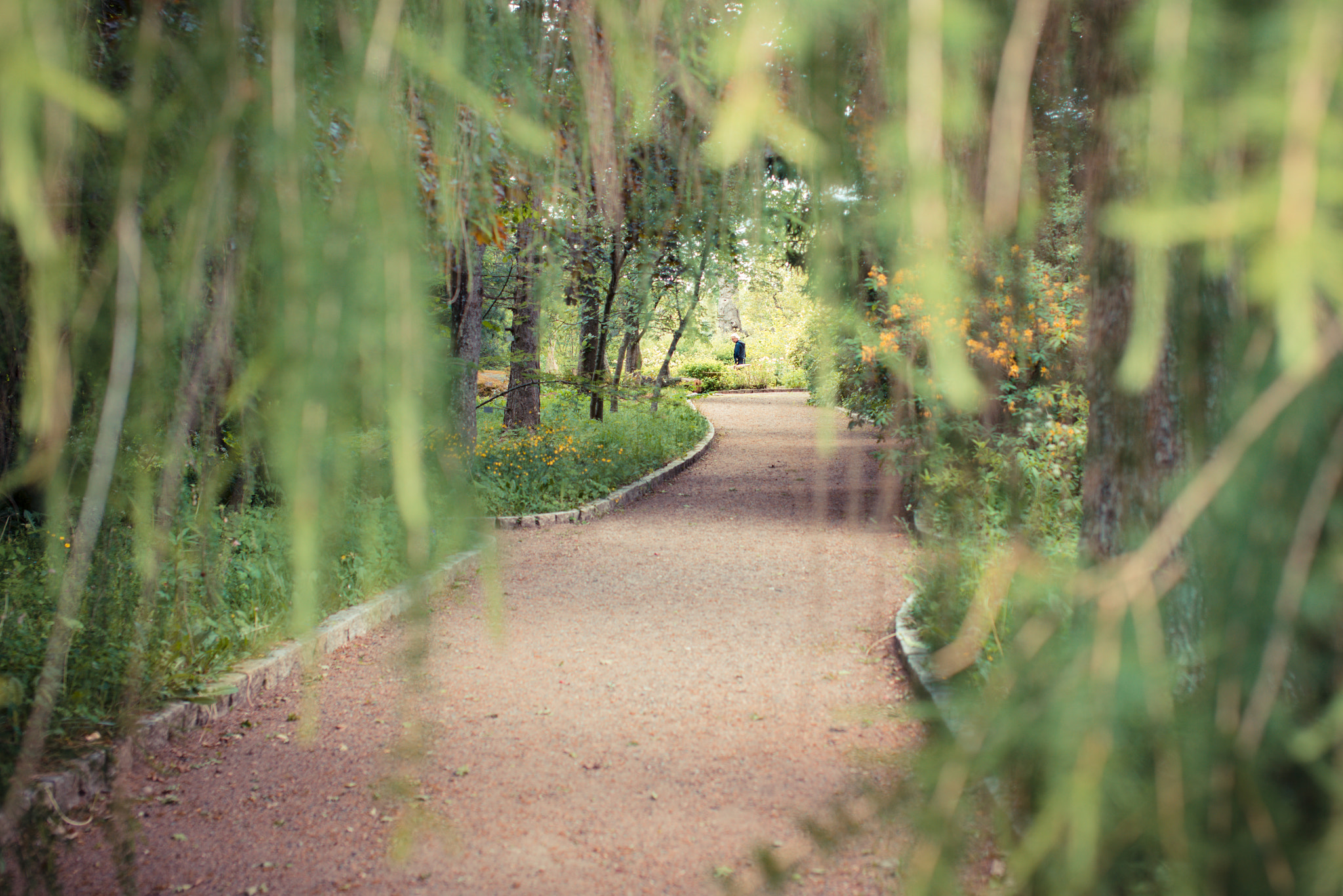 Nikon D610 + Sigma 50mm F1.4 EX DG HSM sample photo. Botanical garden photography