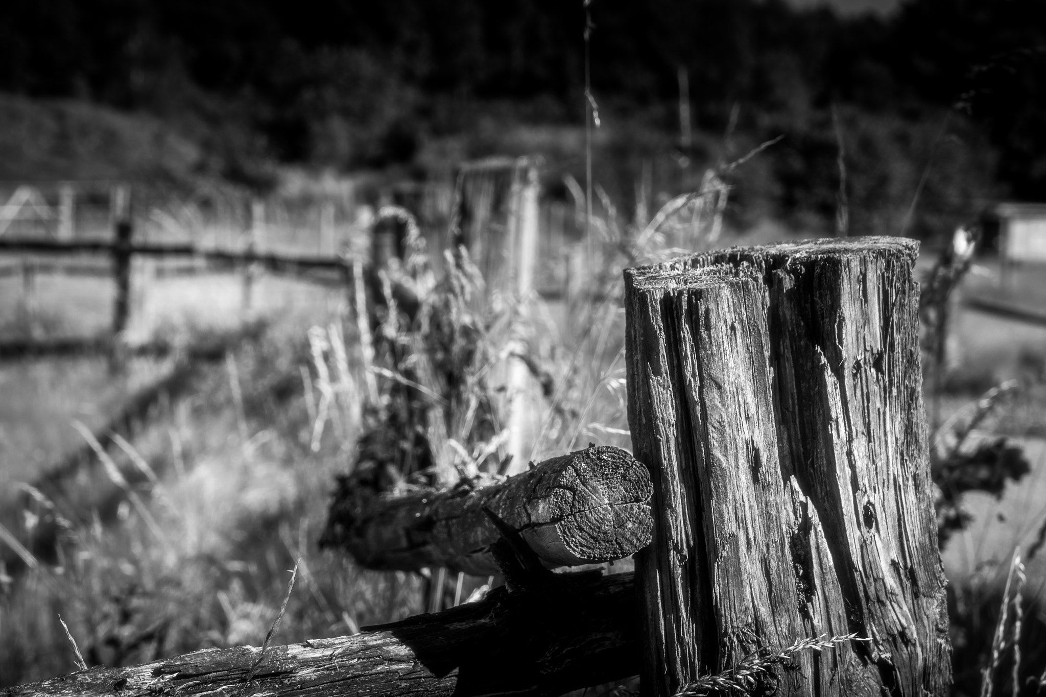 Canon EOS 650D (EOS Rebel T4i / EOS Kiss X6i) + Canon EF 24-70mm F2.8L II USM sample photo. Old fence photography