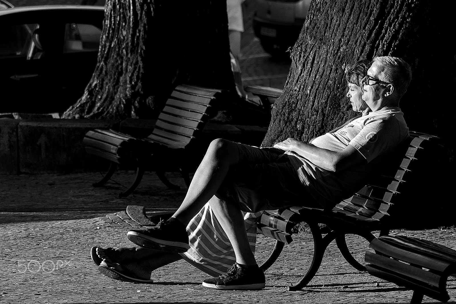 Canon EOS 500D (EOS Rebel T1i / EOS Kiss X3) sample photo. Catching the last rays of sun. photography