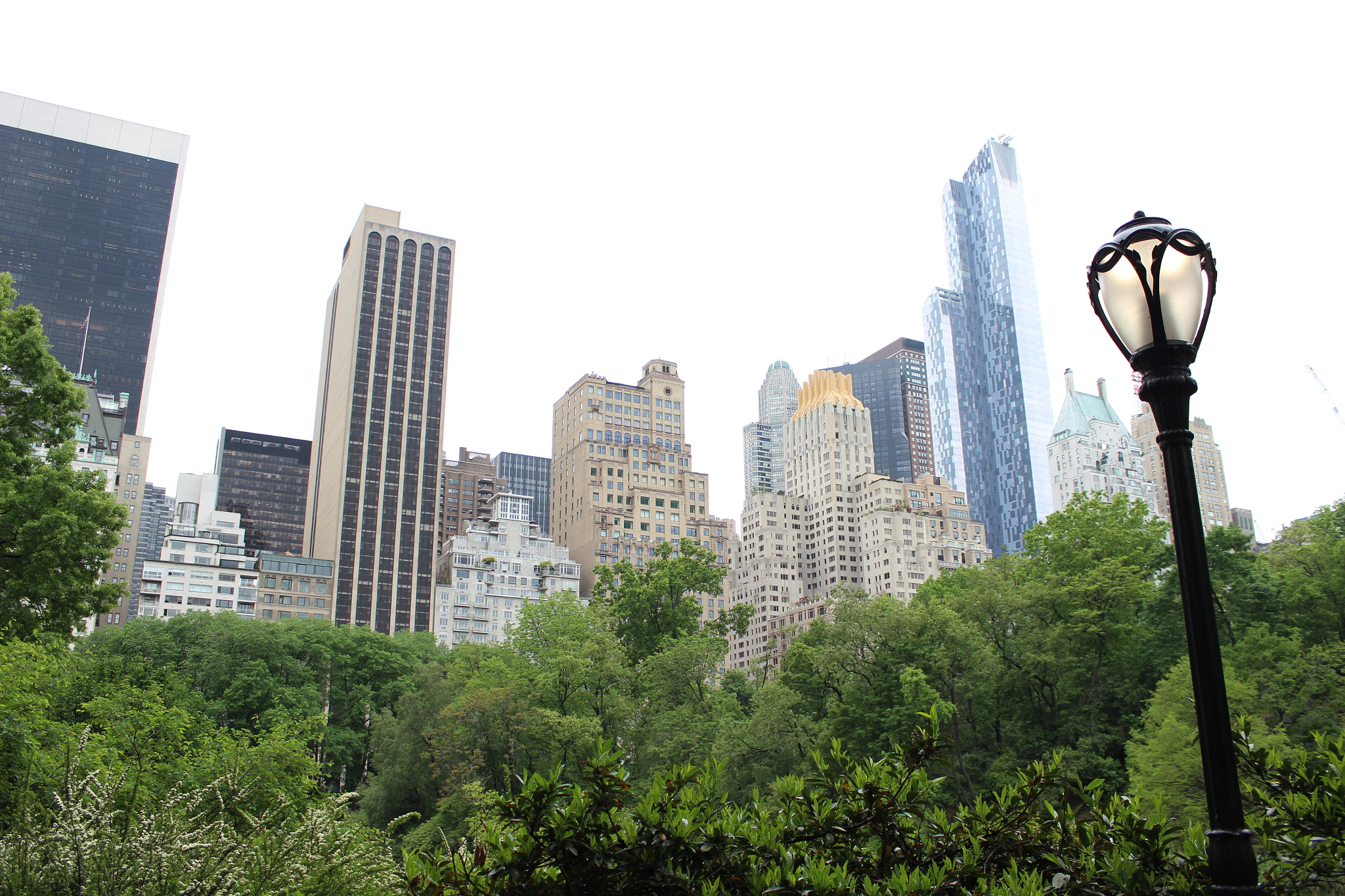 Canon EF 22-55mm f/4-5.6 USM sample photo. Nature and the city. new york, usa photography