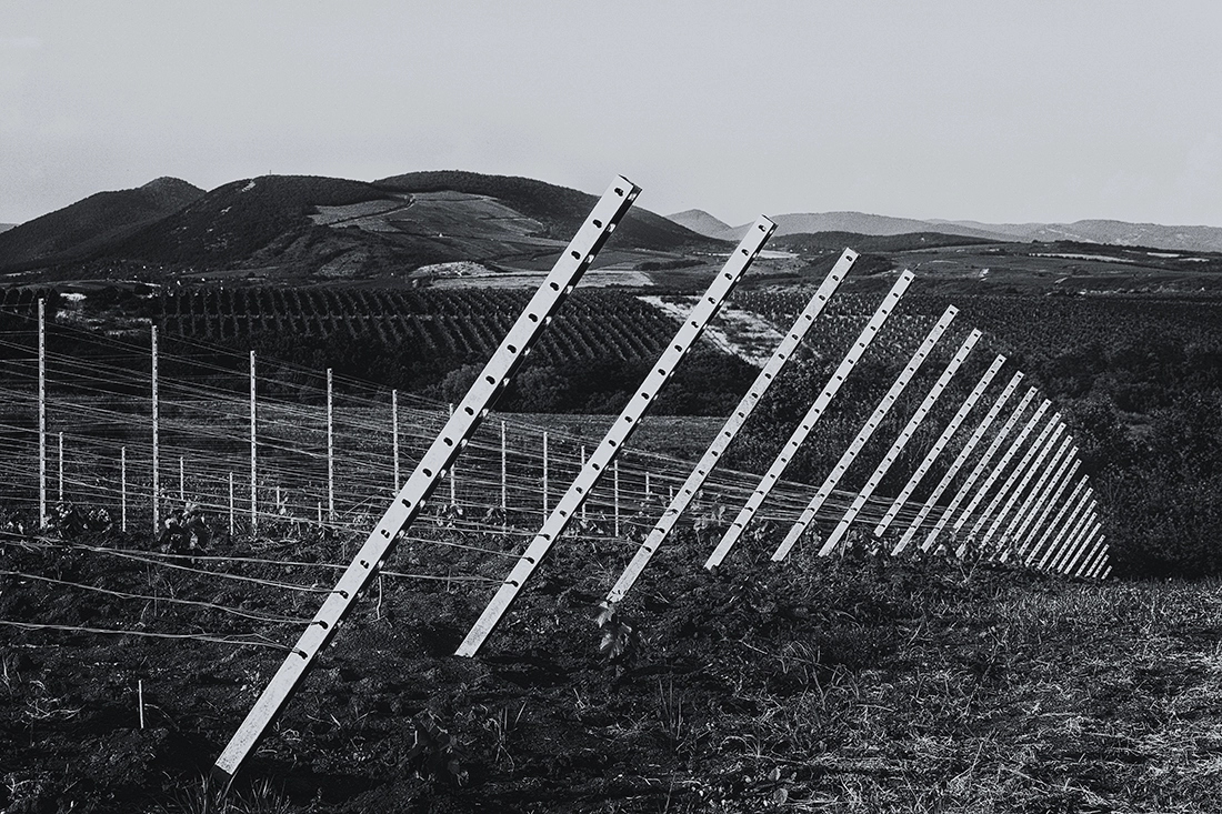 Canon EF 70-200mm F4L IS USM sample photo. Vineyard near eger photography
