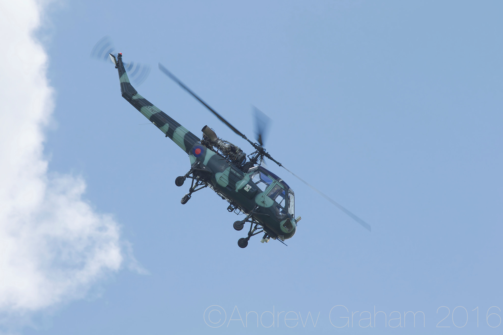 Canon EF 100-400mm F4.5-5.6L IS USM sample photo. Wasp photography