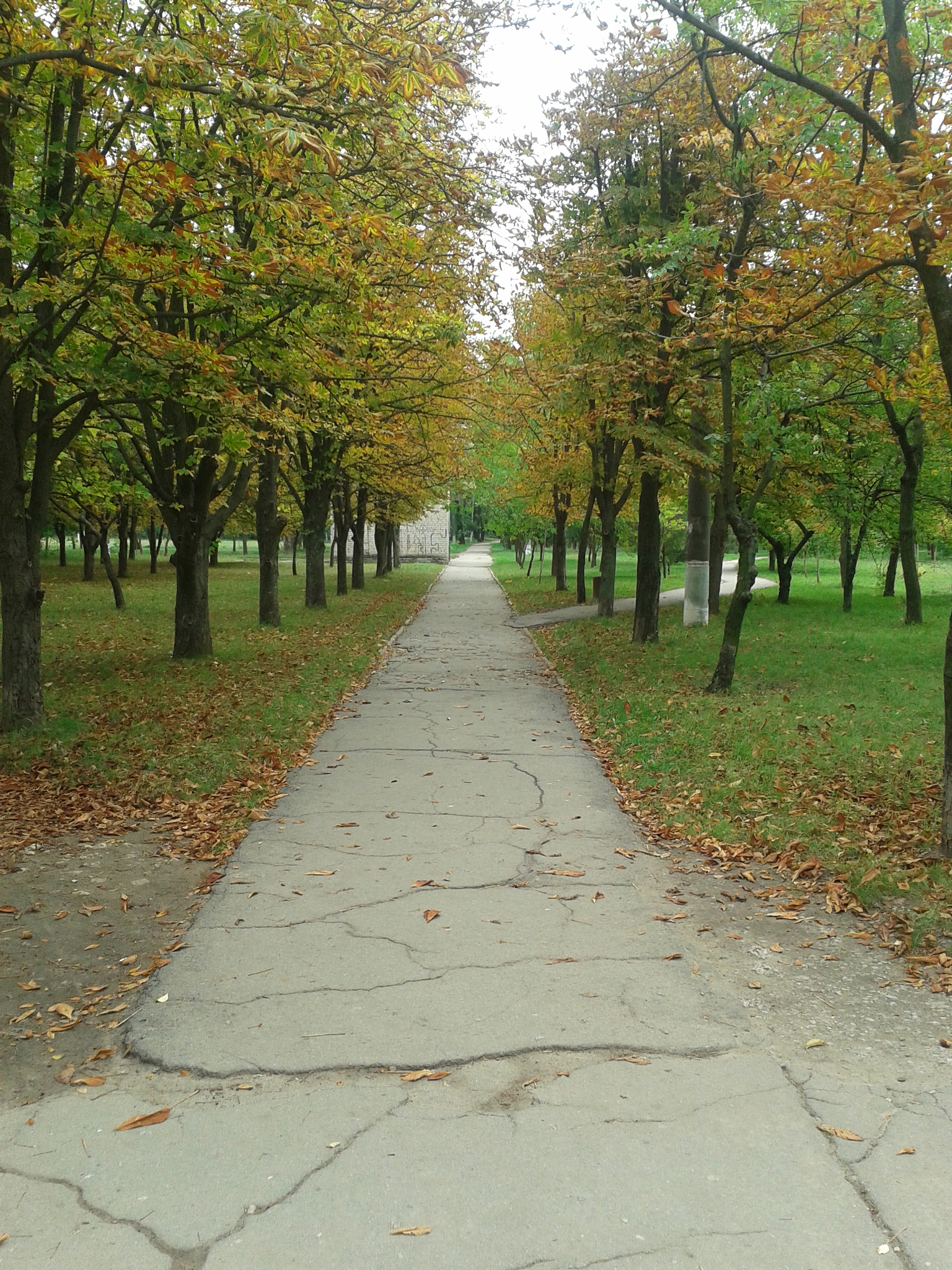 Samsung Galaxy S DUOS sample photo. 20130923_135701.jpg photography