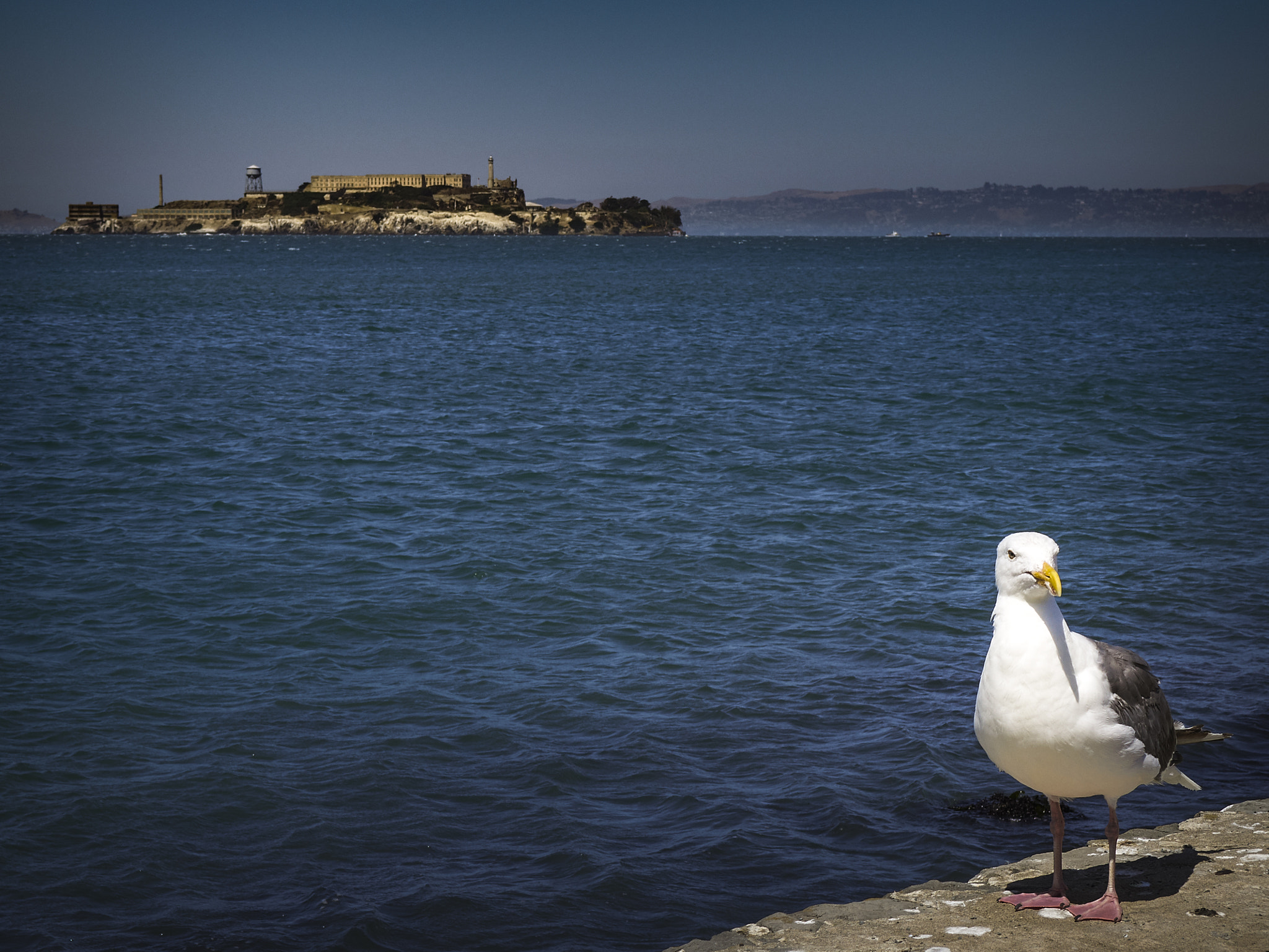 Olympus PEN E-PM2 sample photo. I'm free. photography