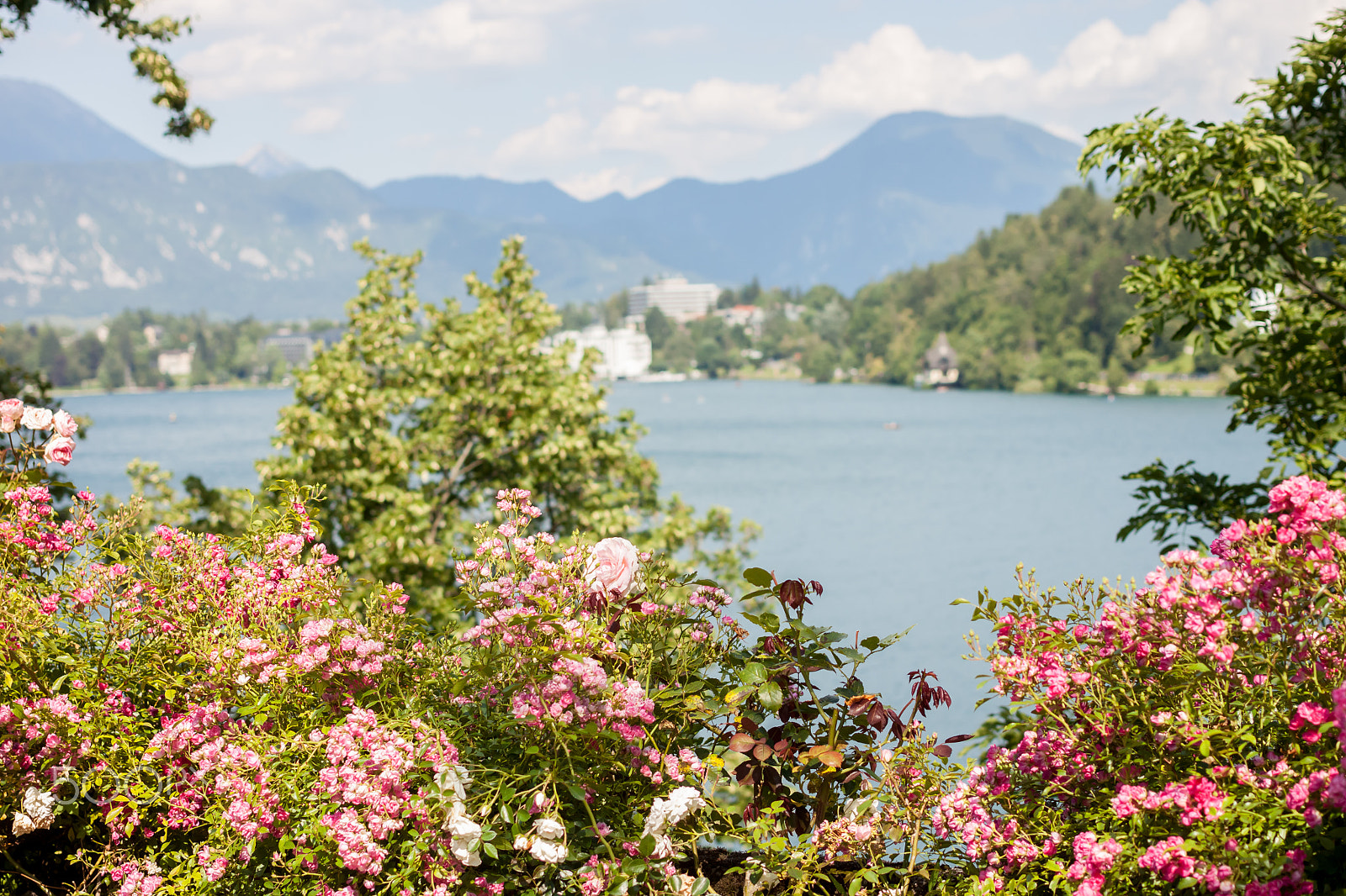 Canon EOS 500D (EOS Rebel T1i / EOS Kiss X3) + Canon EF 40mm F2.8 STM sample photo. Beautiful view on lake bled photography