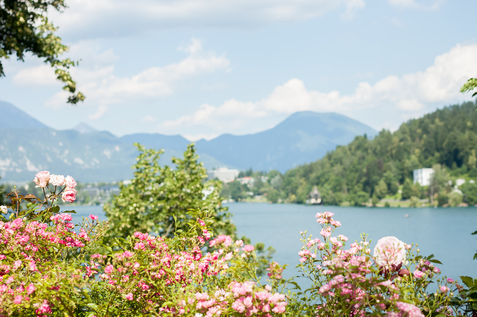 Canon EOS 500D (EOS Rebel T1i / EOS Kiss X3) + Canon EF 40mm F2.8 STM sample photo. Beautiful view on lake bled photography