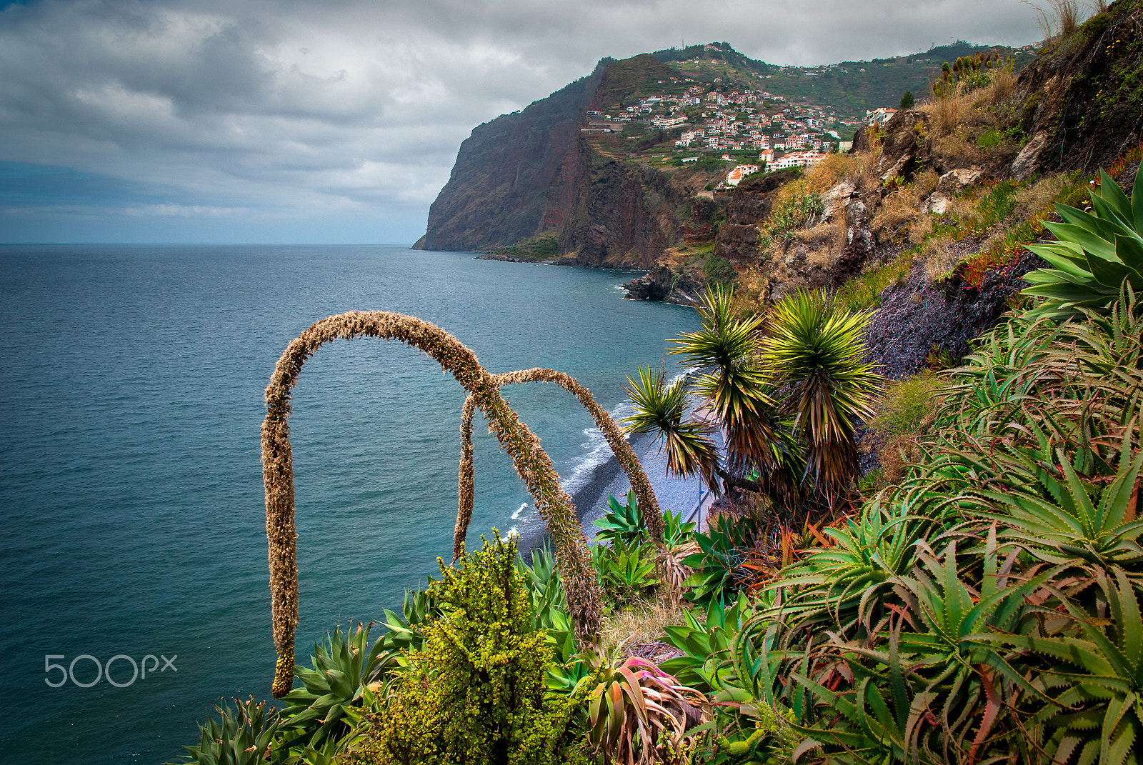 Nikon D80 sample photo. Madeira 4 photography