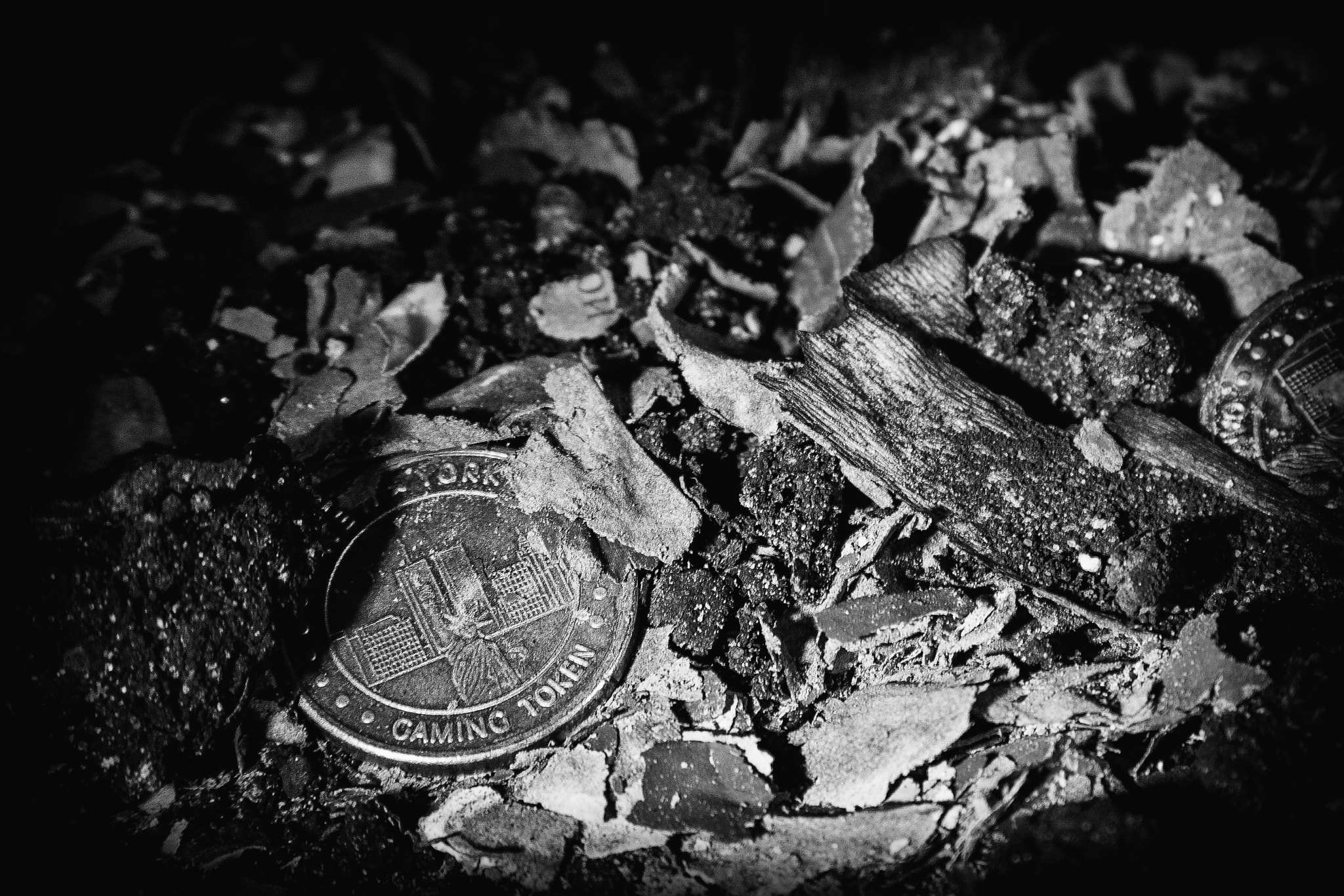 Canon EF 28-135mm F3.5-5.6 IS USM sample photo. Gaming token photography