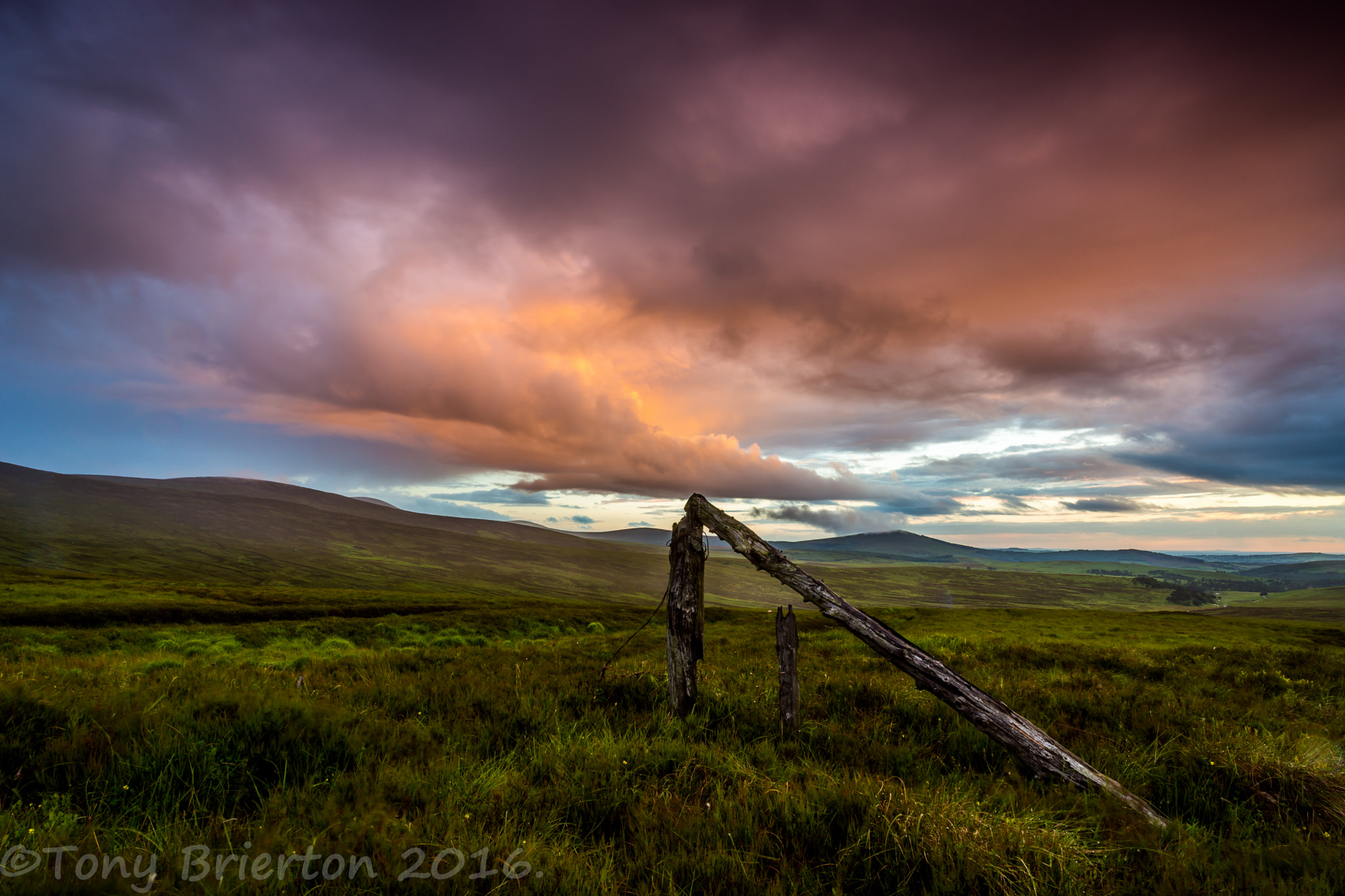 Sony a99 II sample photo. Sunset after the rain. photography