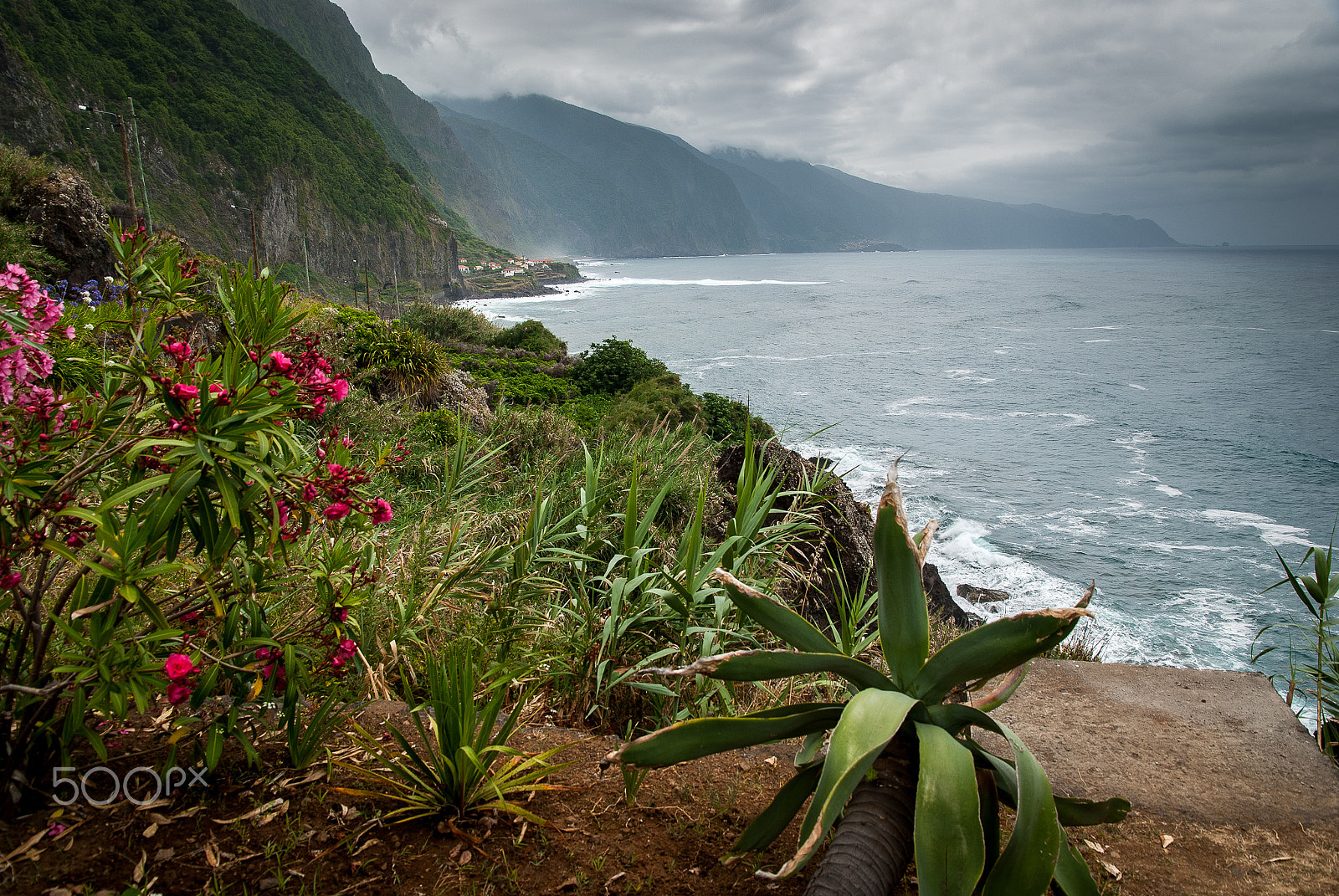 Nikon D80 sample photo. Madeira 5 photography