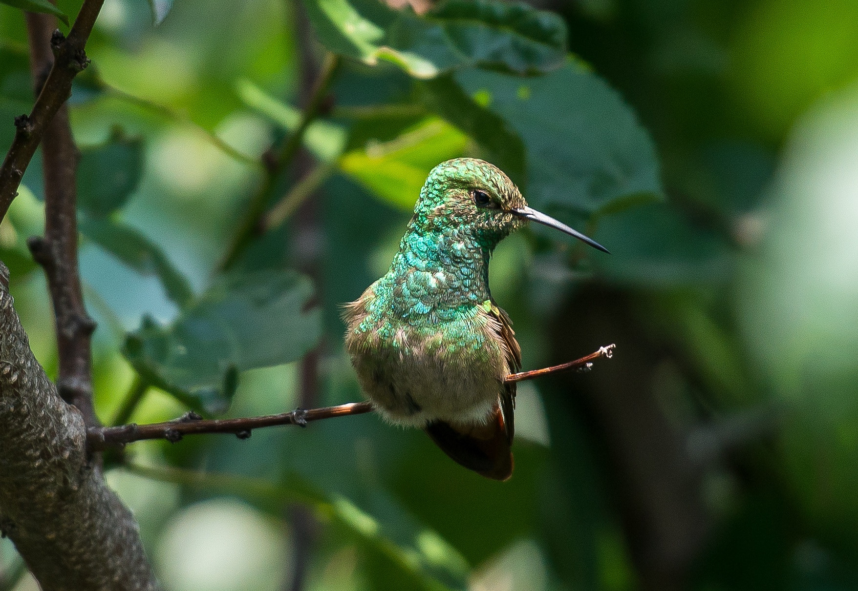 70-200mm F2.8-2.8 G sample photo