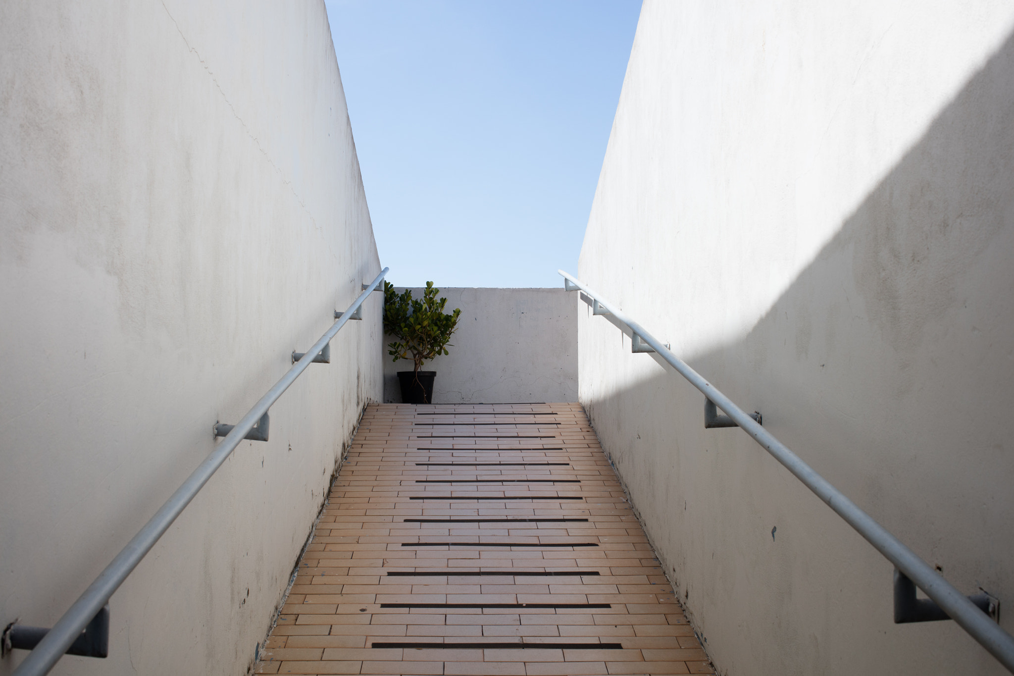 Canon EOS 5DS + Canon EF 50mm F1.2L USM sample photo. Pedestrian tunnel photography