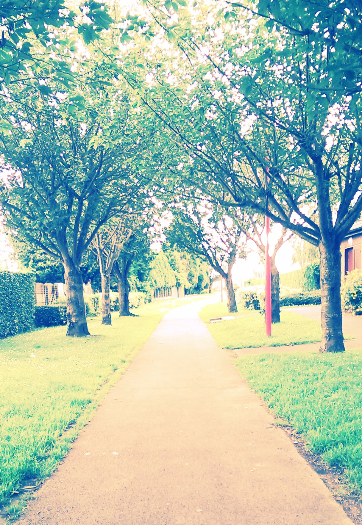 HTC ONE MINI sample photo. Untitled photography