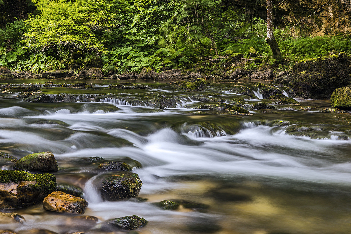 Sony Vario-Sonnar T* 24-70mm F2.8 ZA SSM II sample photo. Gorge areuse photography