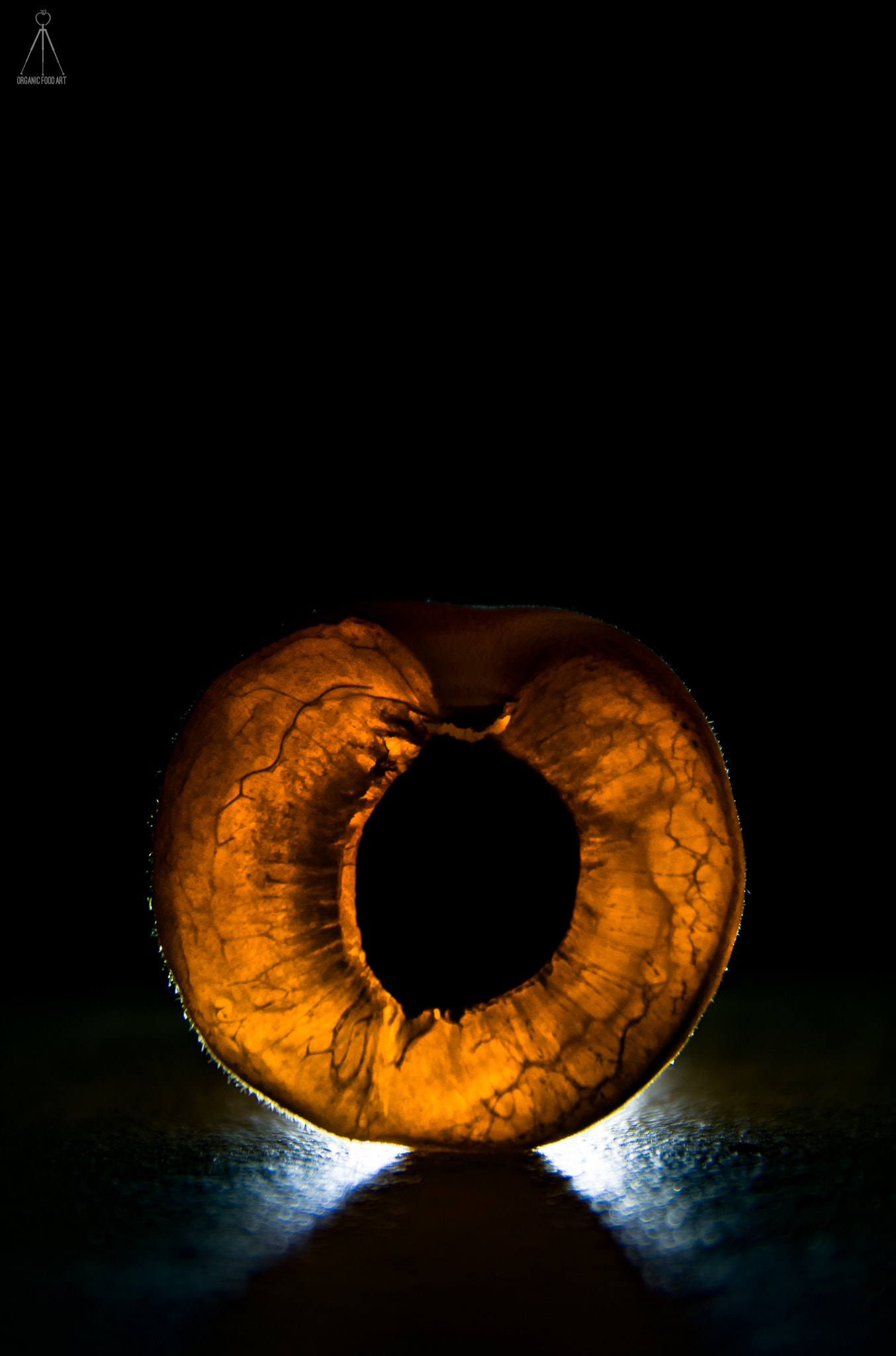 Sigma 17-70mm F2.8-4 DC Macro OS HSM | C sample photo. "the organic eye" photography