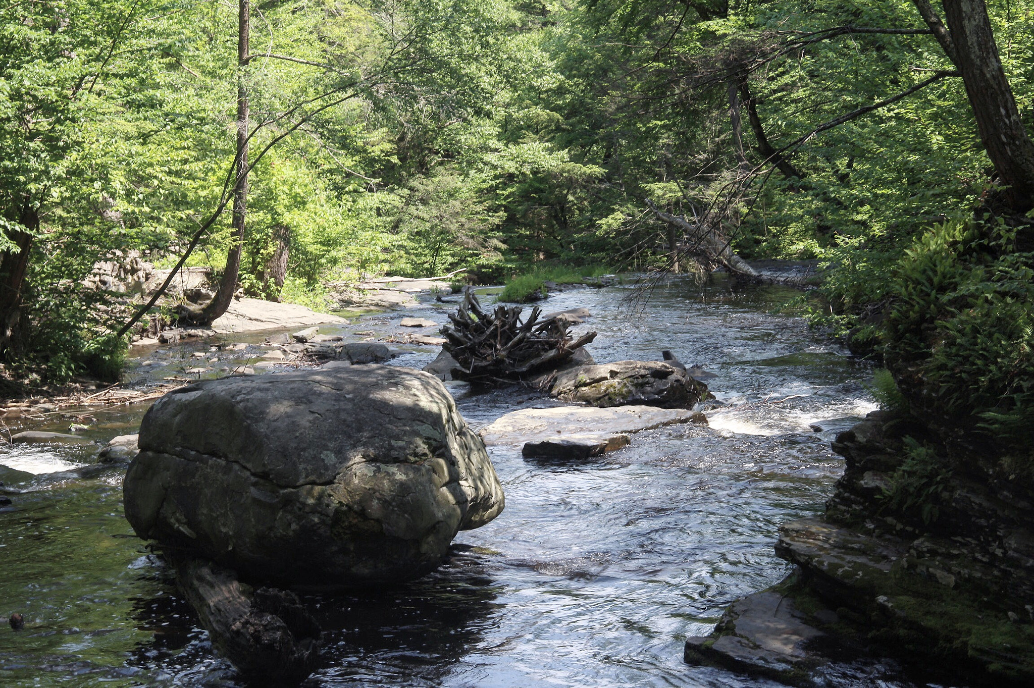 Canon EOS 100D (EOS Rebel SL1 / EOS Kiss X7) sample photo. Taken out in delaware at our hike to the delaware water gap photography