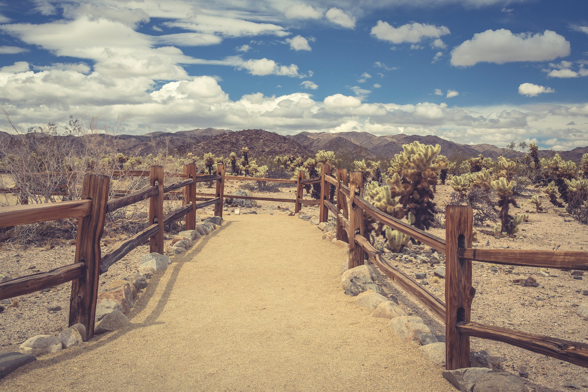 Olympus OM-D E-M10 sample photo. Desert walking trail photography