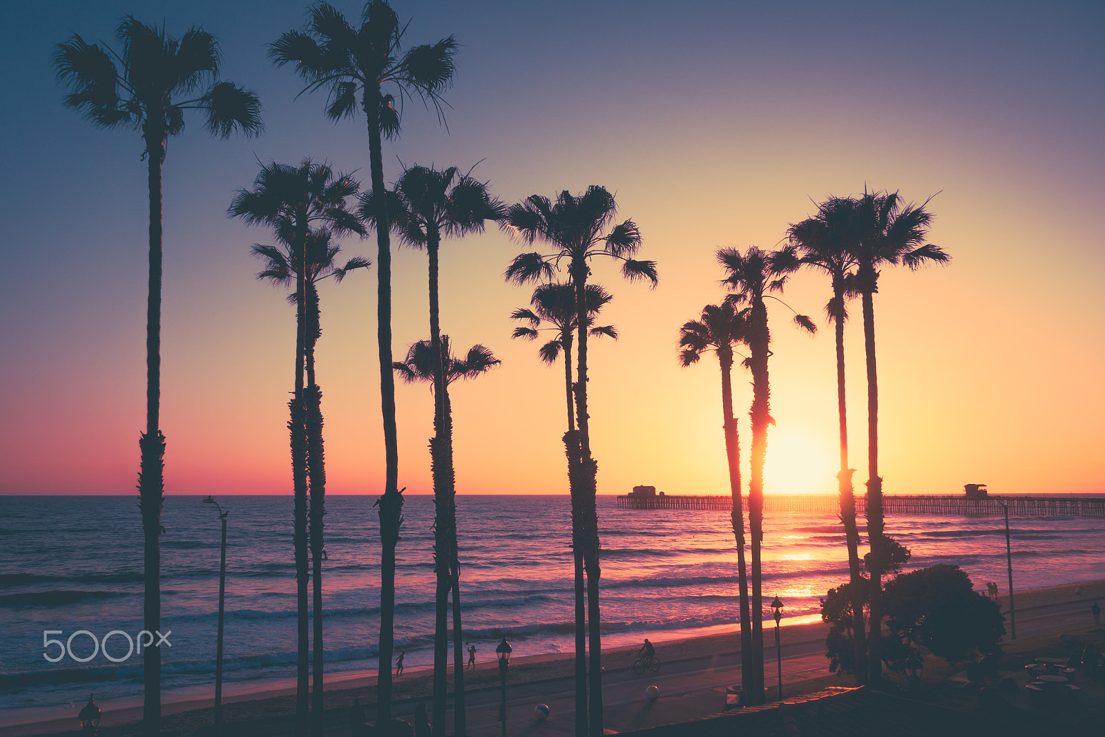 Olympus OM-D E-M10 sample photo. Sunset palm trees photography